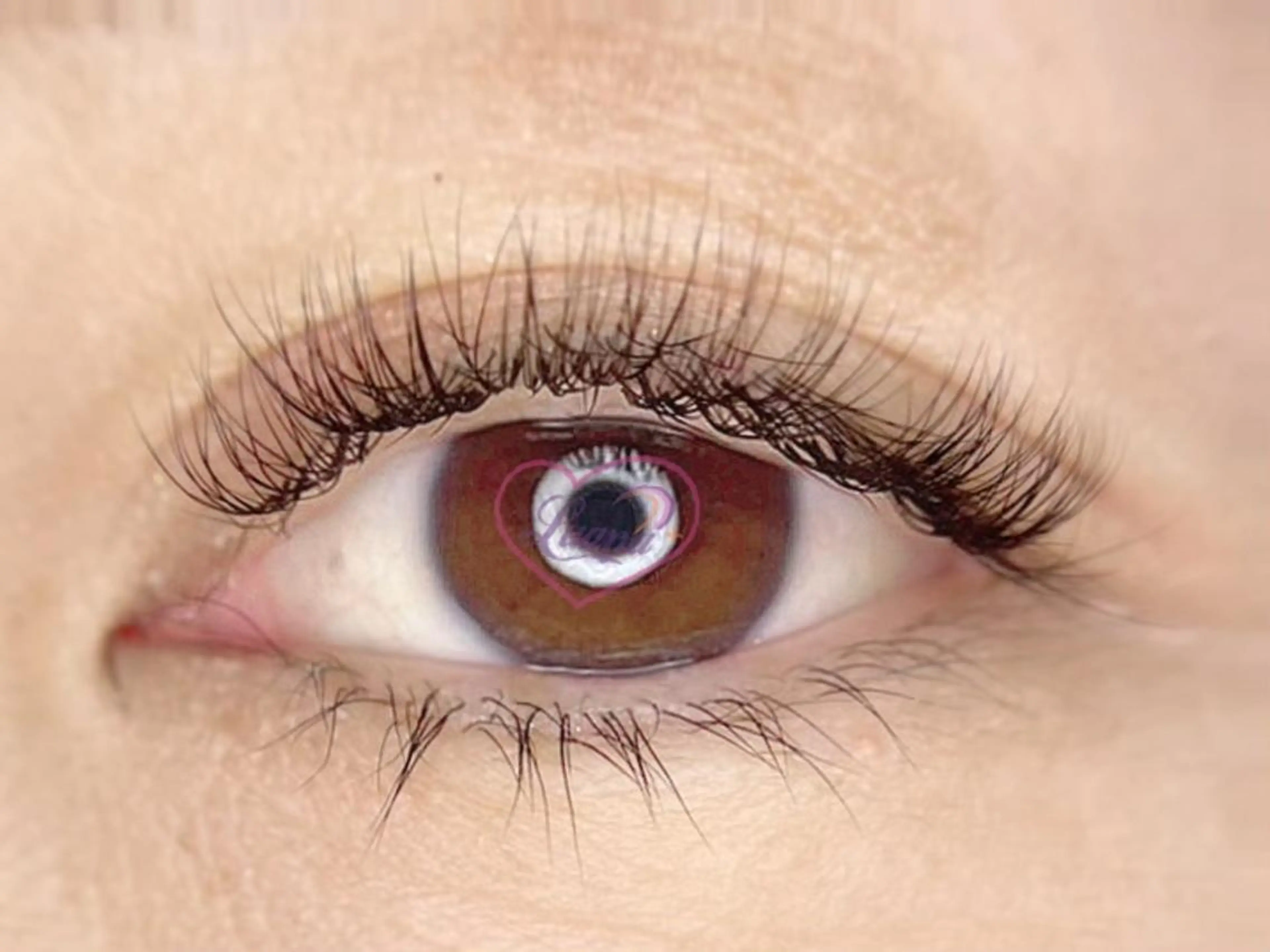 ボリュームラッシュ300本＊撮影モデル募集＊の写真