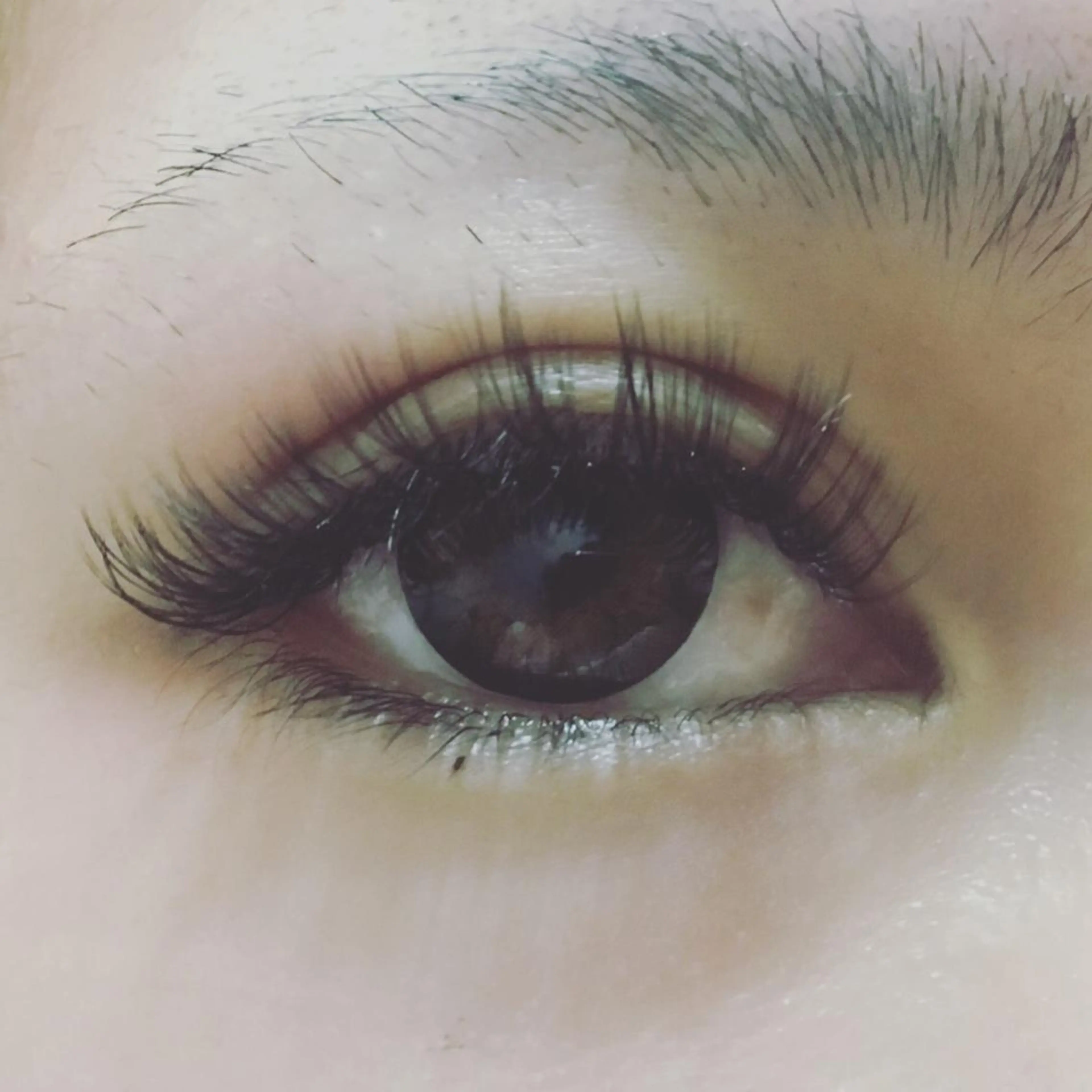 マツエク・マツパ キュート Dカール マツエク 六花〜rikka〜所属・六花 〜rikka〜のマツエク・マツパデザイン