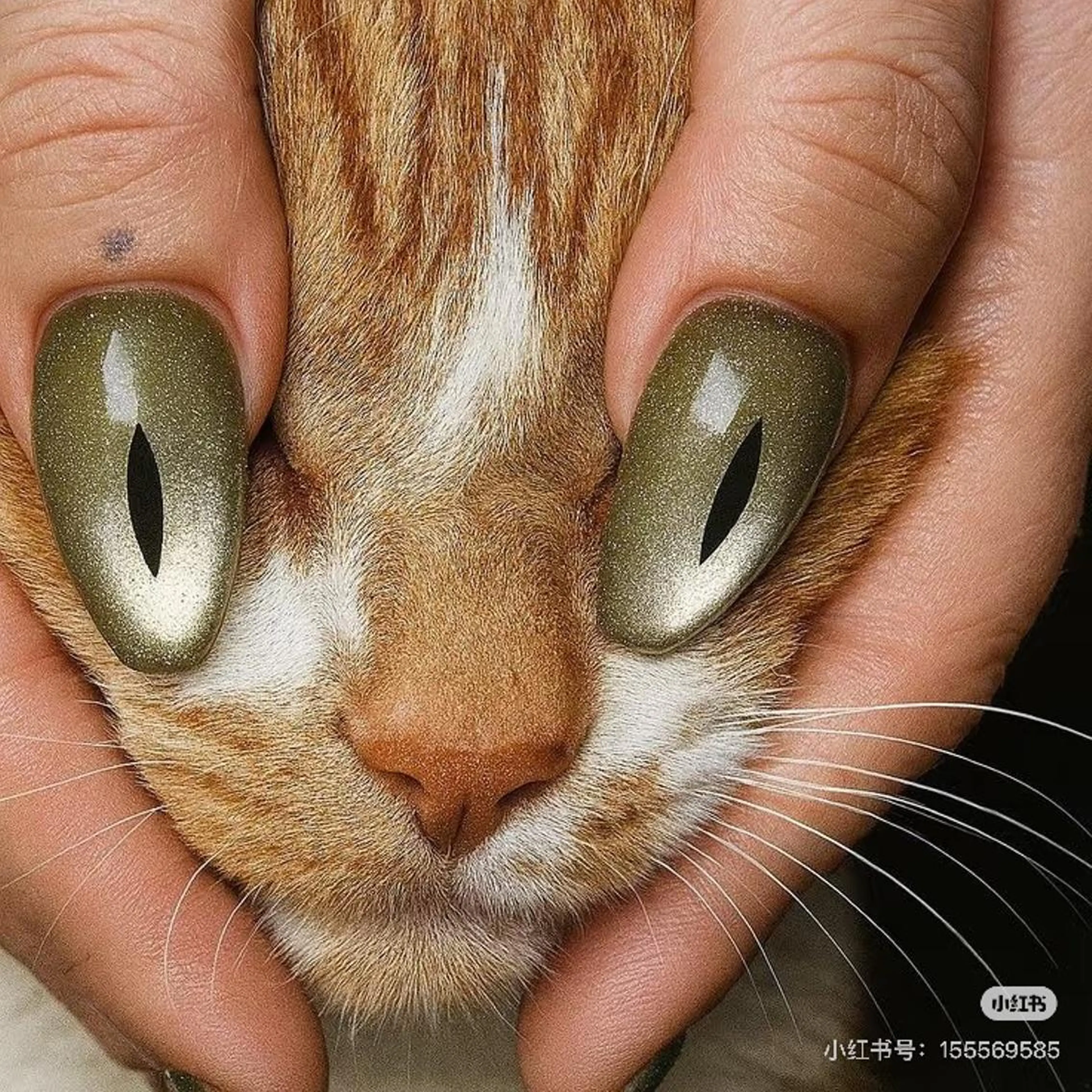 ネイル ToliyDeliy Linaのネイルデザイン