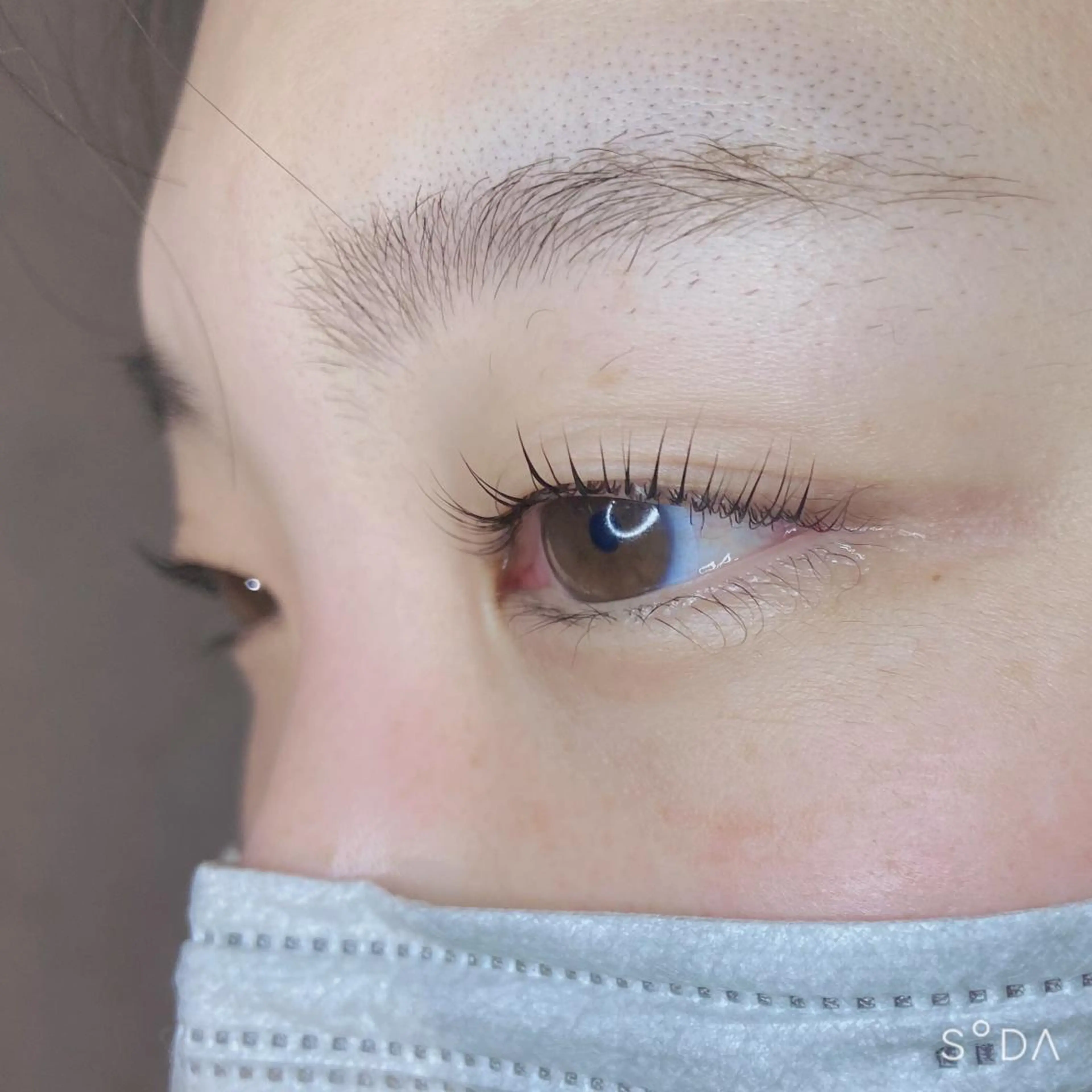 マツエク・マツパ 韓国風マツエク マツパ フジ ワラのマツエク・マツパデザイン