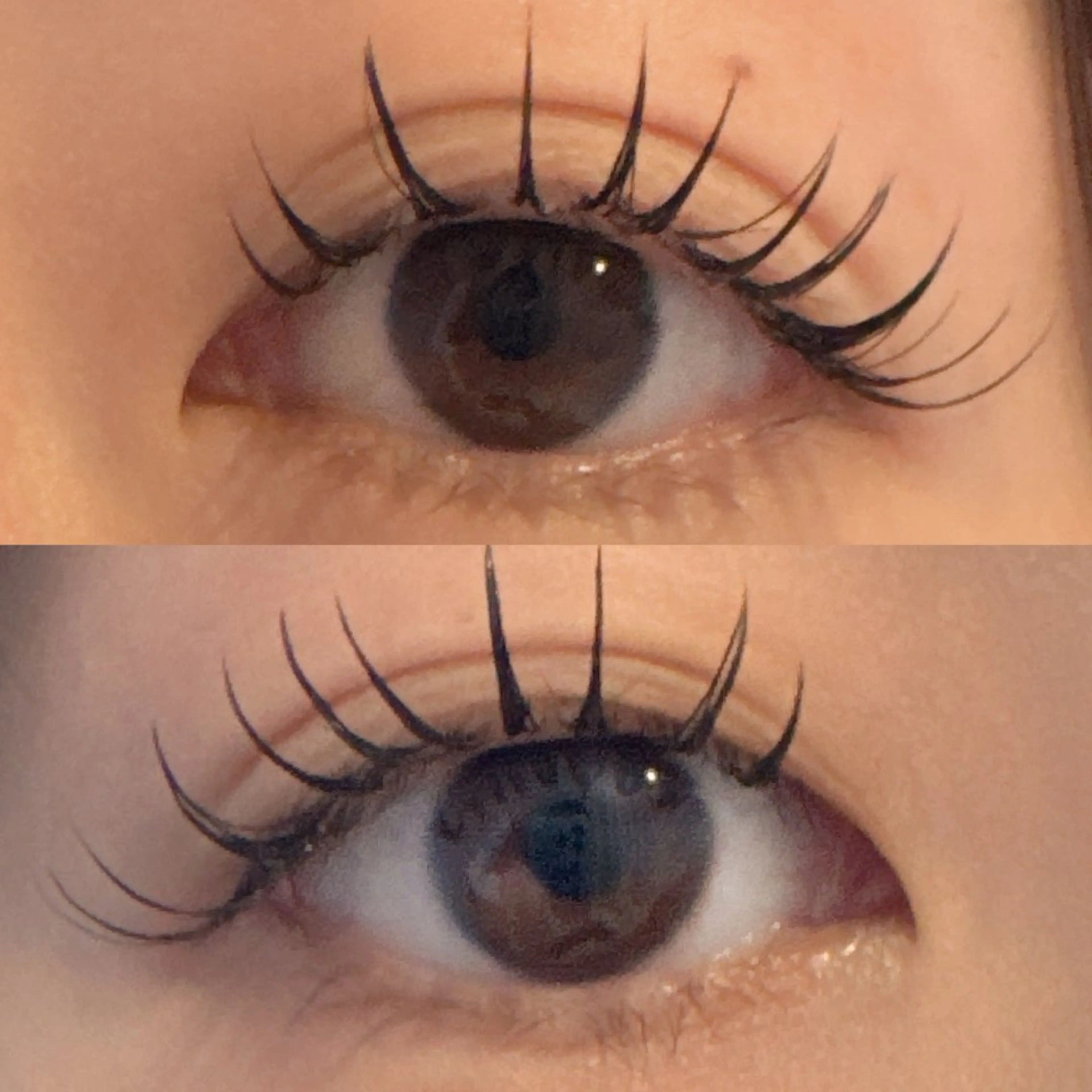 マツエク・マツパ Mignon +所属・Mignon + Natsukiのマツエク・マツパデザイン