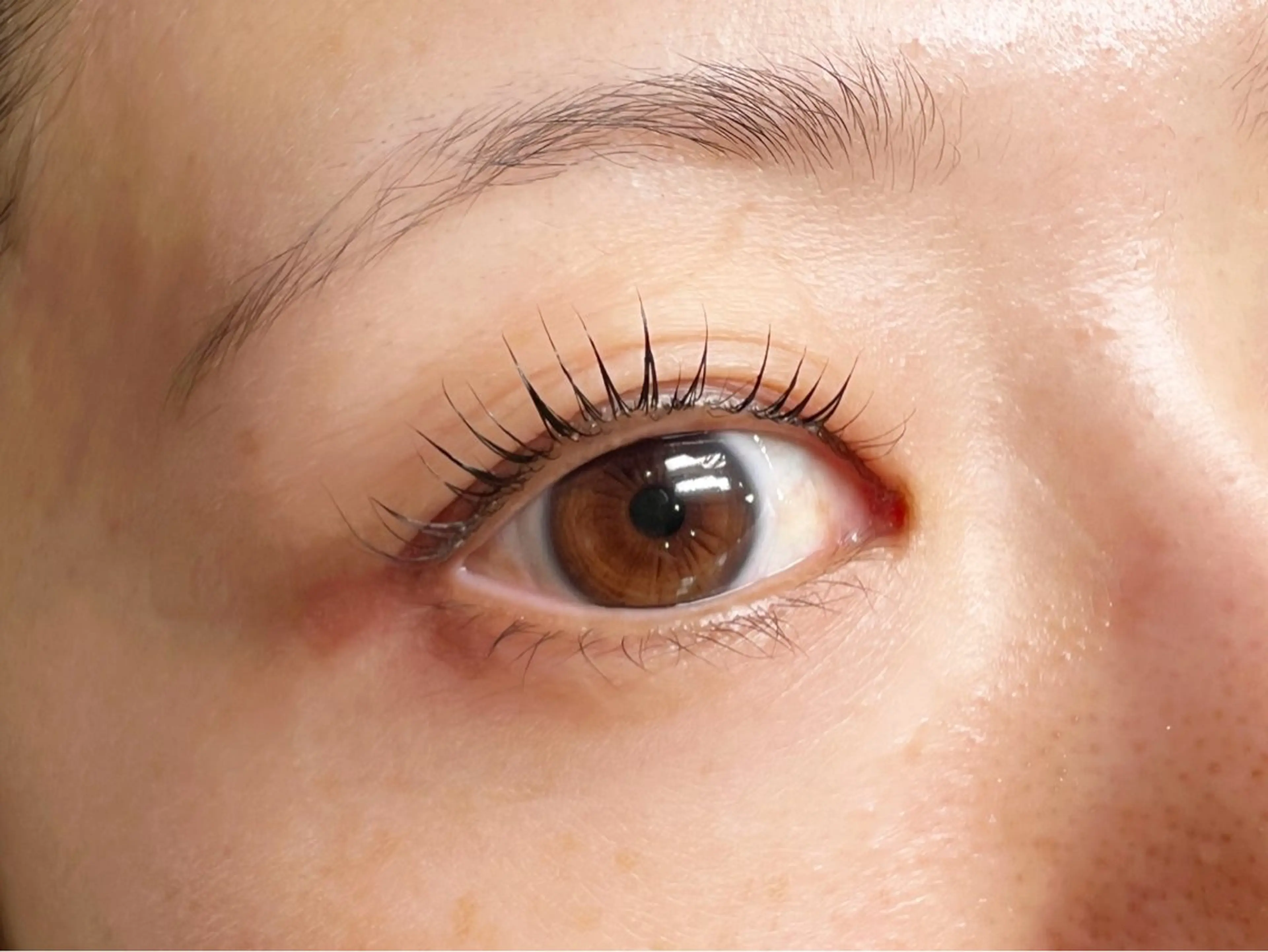 《新規限定》初心者人気💐似合わせまつげパーマ (トリートメント付)の写真