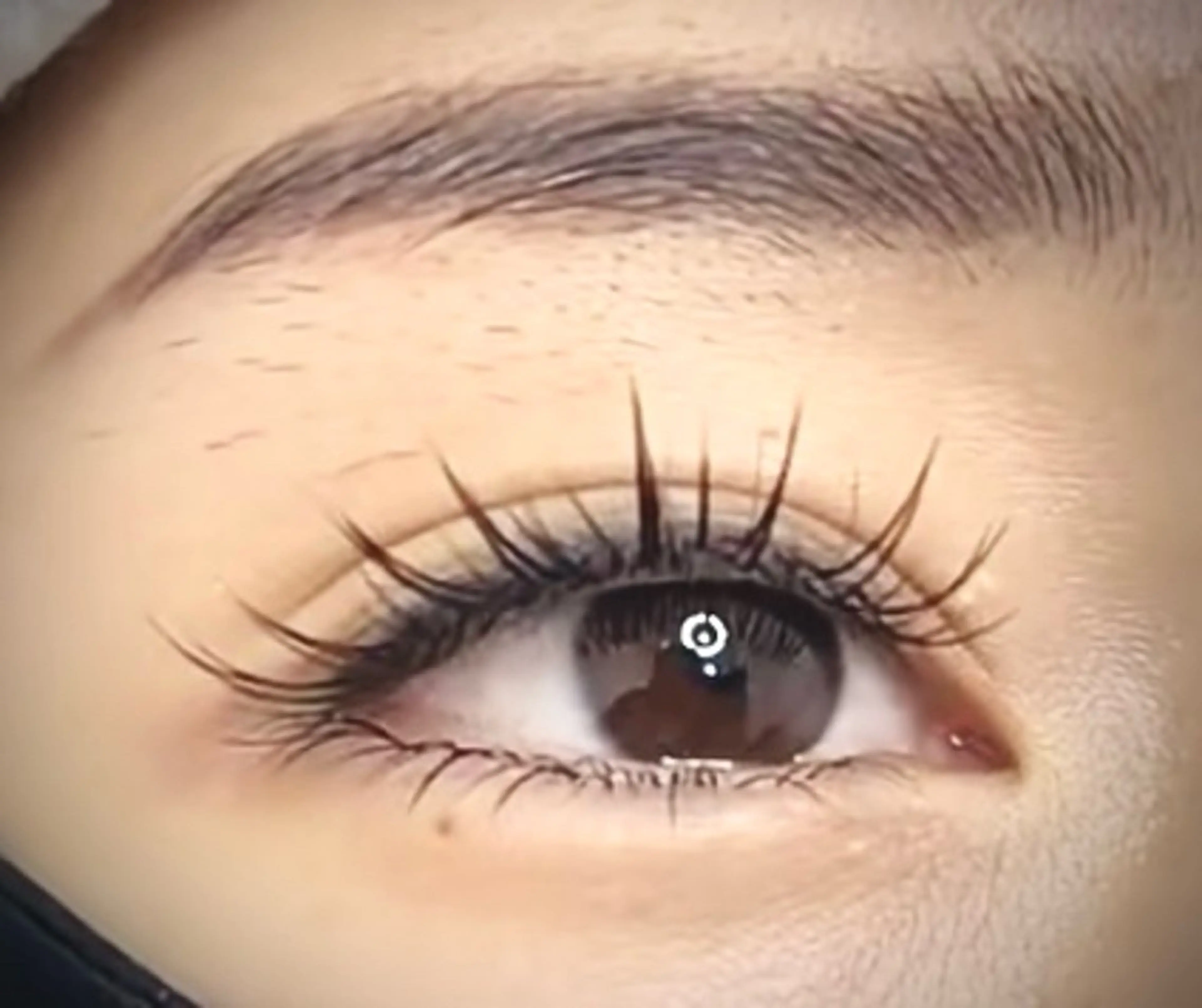 マツエク・マツパ 付け放題 バインドロック 束感まつ毛 カラーマツエク フラットラッシュ マツパ Ｍ salon アイラッシュのマツエク・マツパデザイン