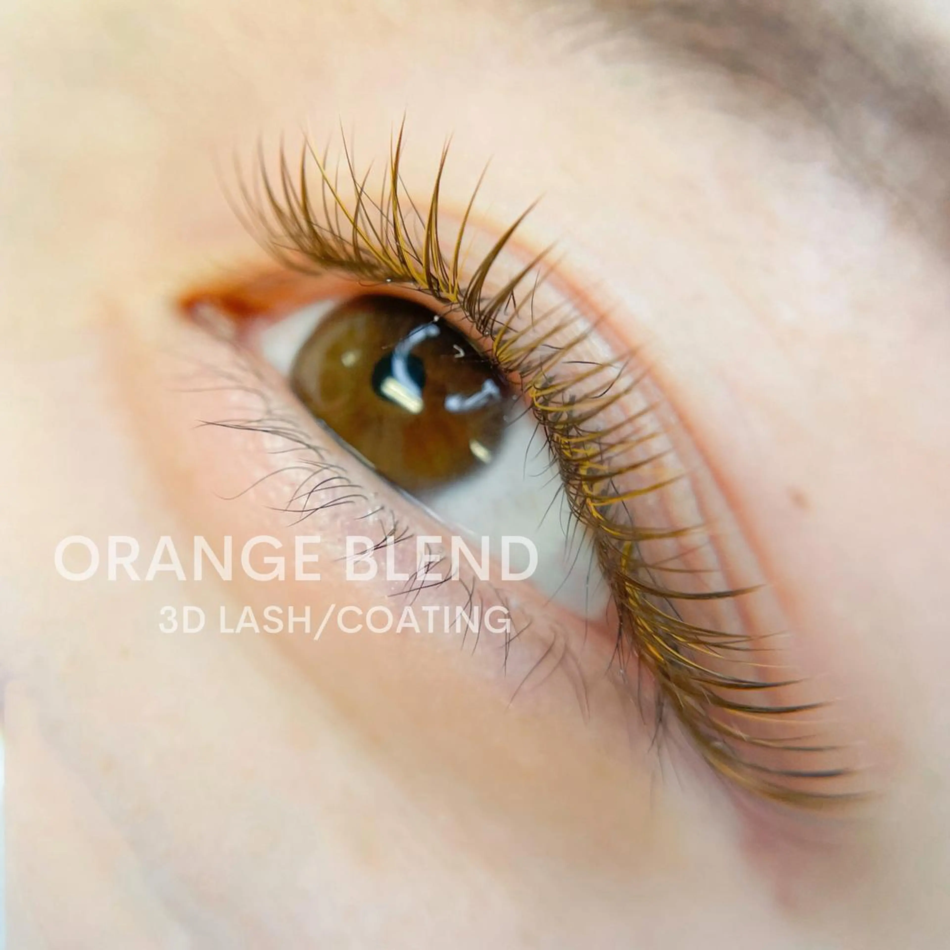 マツエク・マツパ 千葉中央/まつげ 大会日本一獲得のマツエク・マツパデザイン