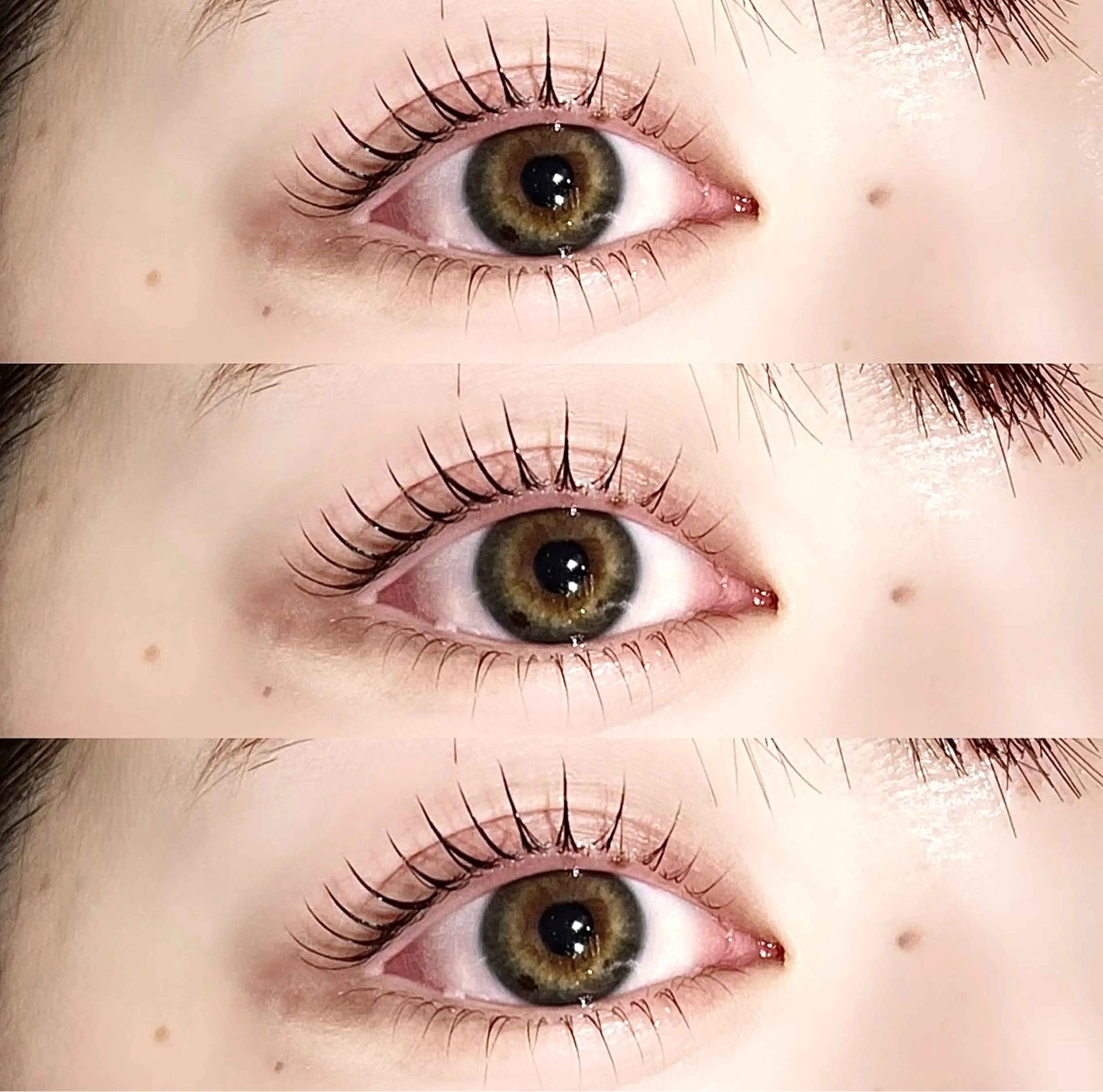 【🎀年末SALE 】↕︎上下パリジェンヌ(まつ毛パーマ)✖️束間コーティング付き🎀の写真