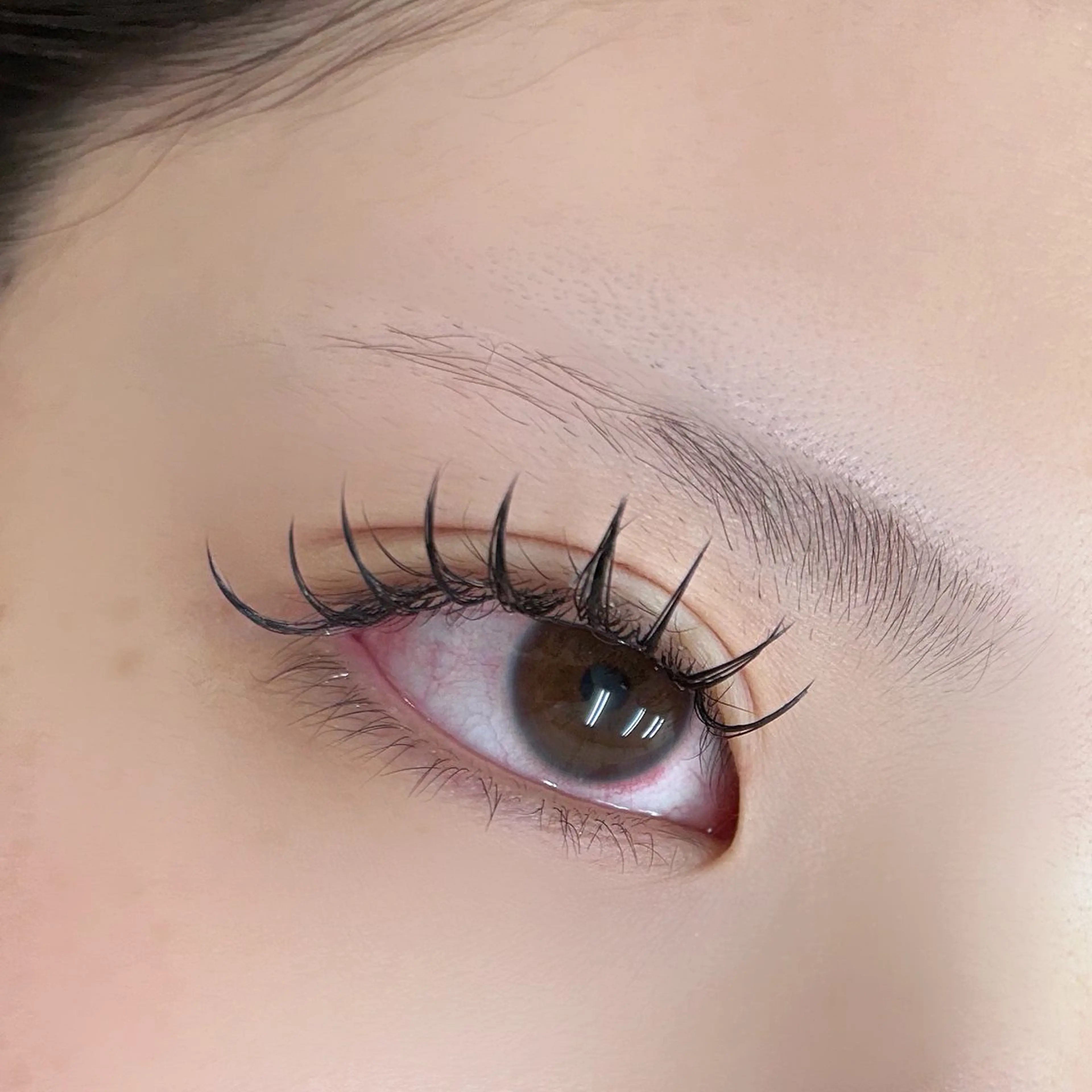 💙バインドorダブル　100束¥8200/120束¥9200💙の写真