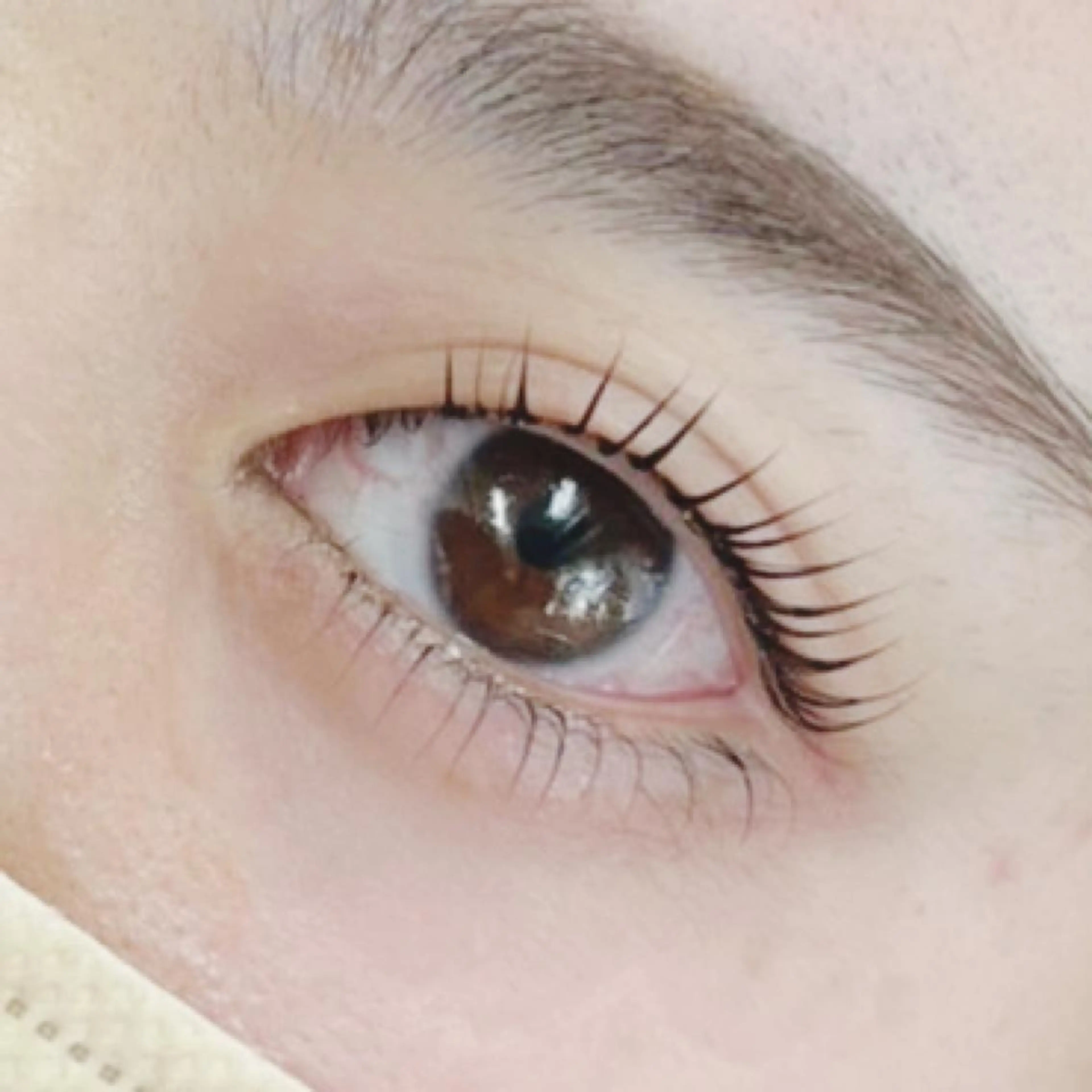 マツエク・マツパ HAYASAKA 韓国風/束感/パリのマツエク・マツパデザイン