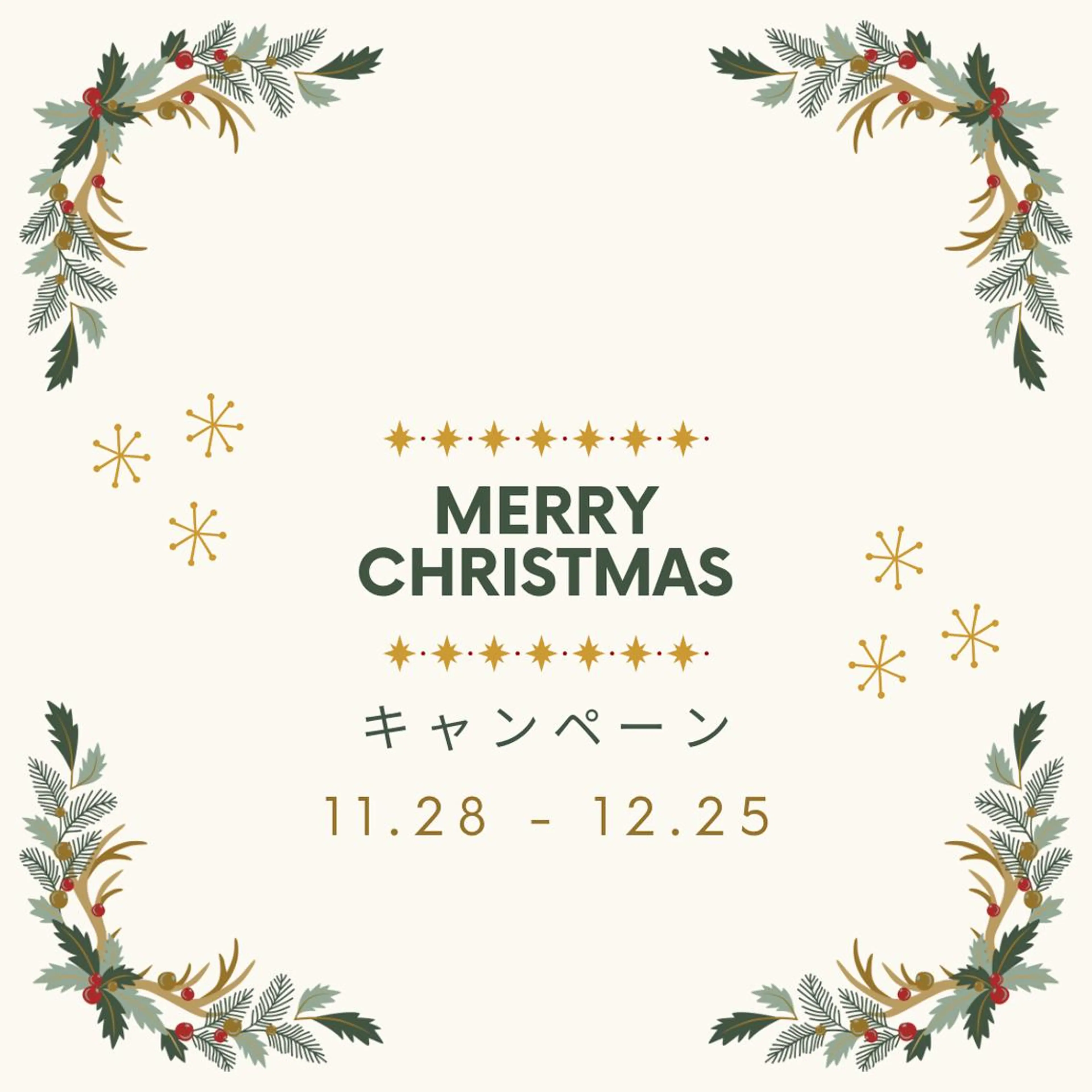 💫クリスマスキャンペーン💫まつ毛パーマ＋コーティング付き♡の写真