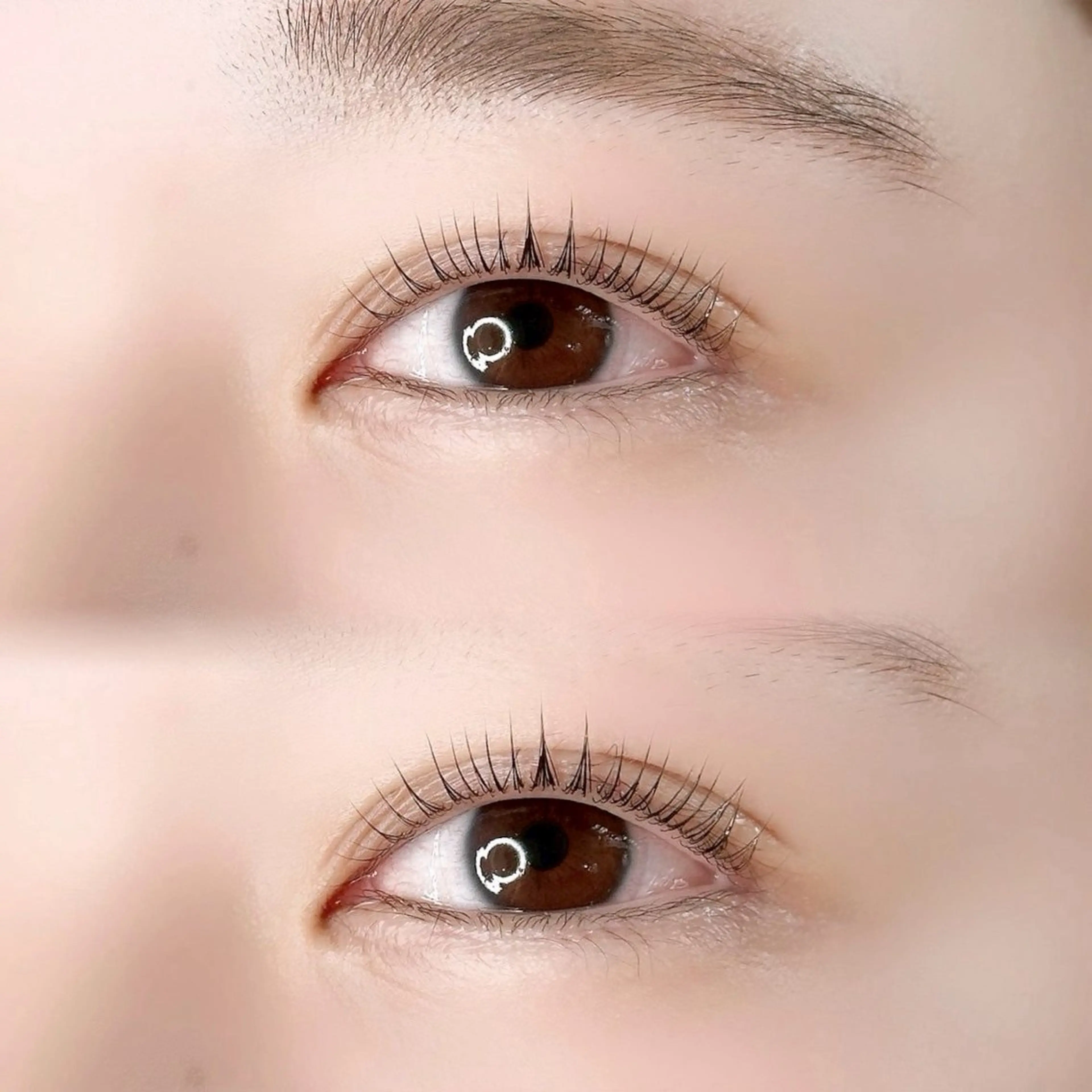 マツエク・マツパ パリジェンヌラッシュリフト マツパ 美u•p 鶴ヶ峰店のマツエク・マツパデザイン