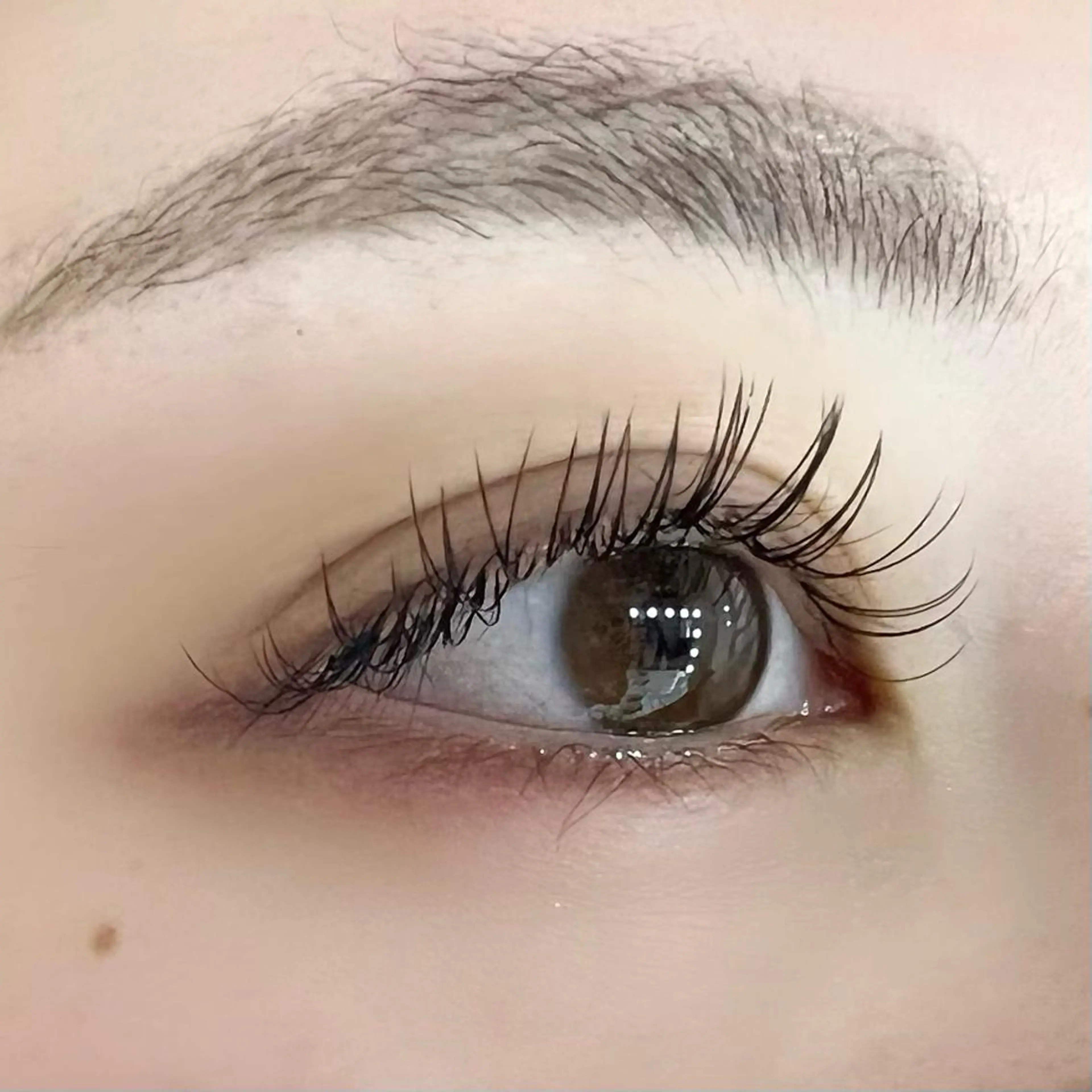 マツエク・マツパ フラットラッシュ マツエク Celeste Venus所属・🧸Celeste Venusのマツエク・マツパデザイン