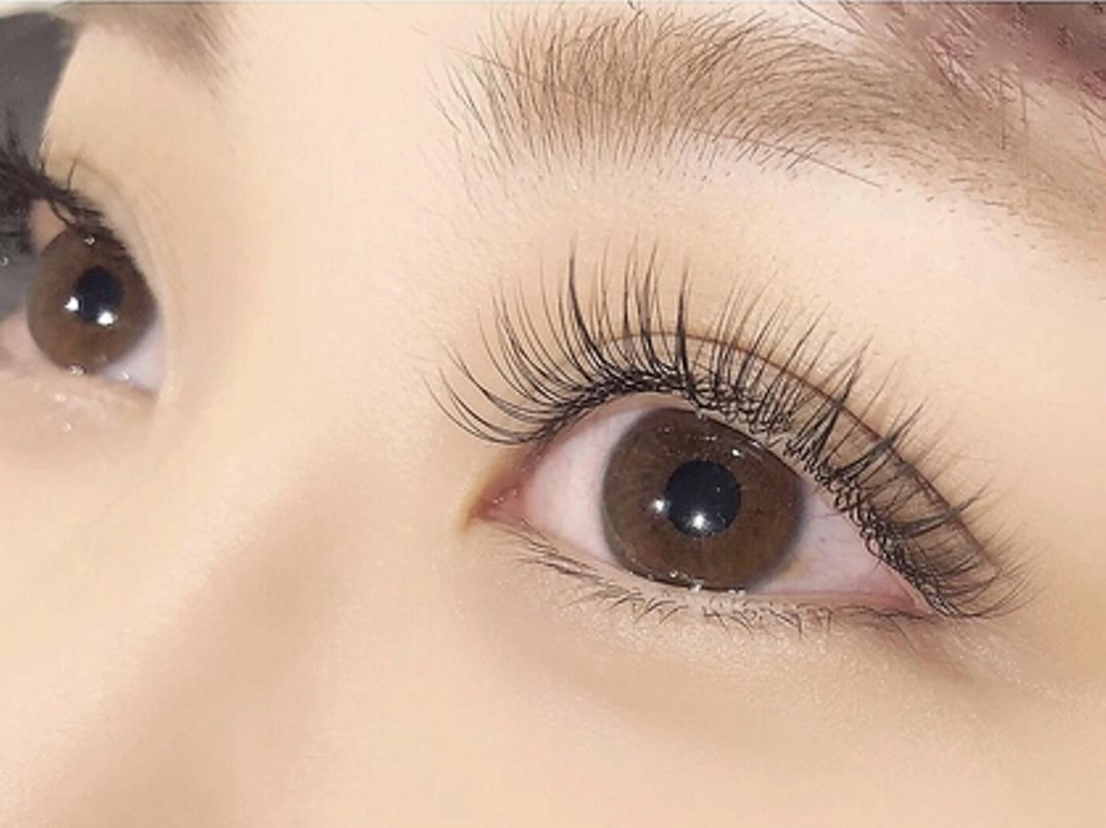 🌸ミニモ限定🌸✨フラットラッシュアイパックサービス✨100本まで4500円オフ別の写真