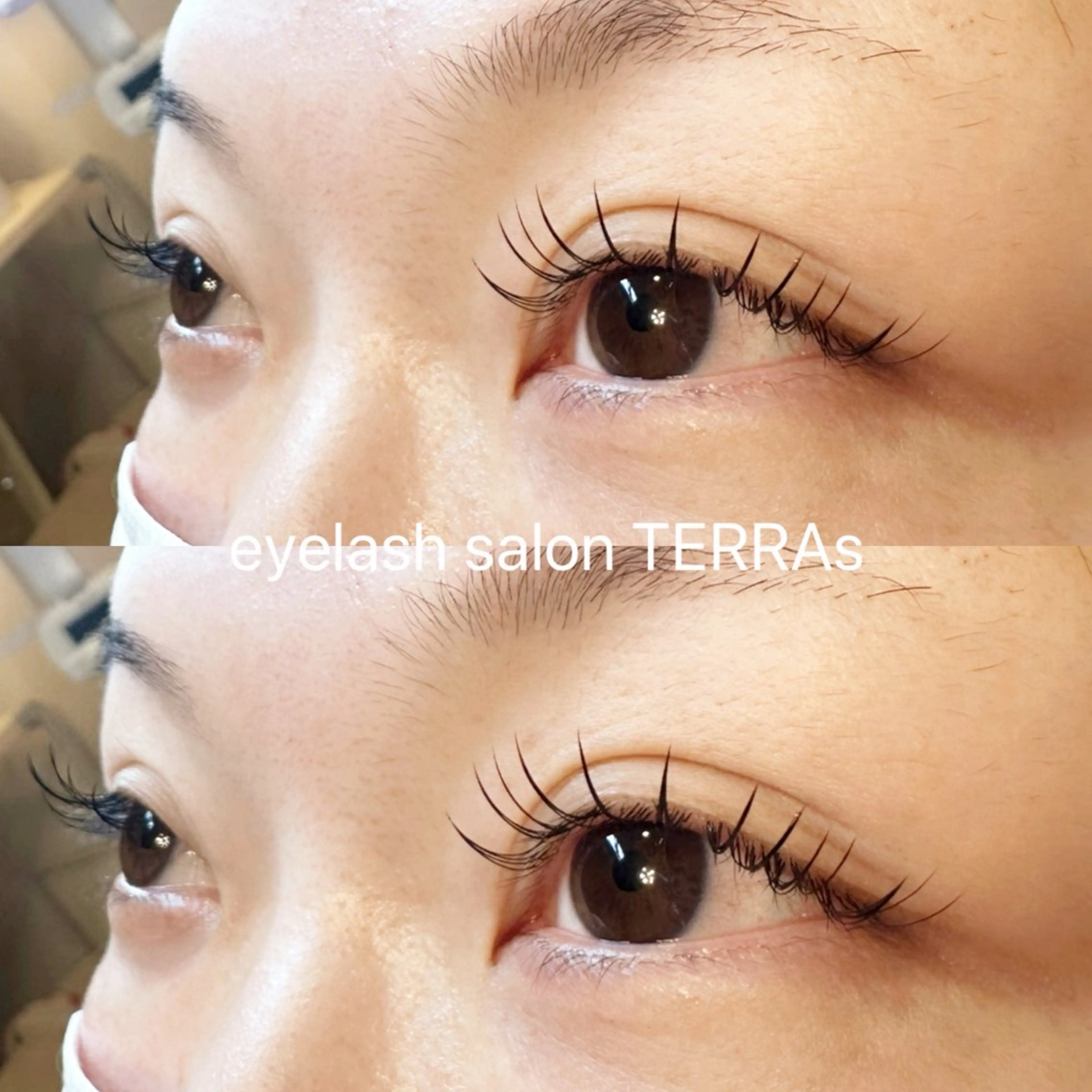 マツエク・マツパ フラットラッシュ TERRAs 蕨 / hitomi🐰のマツエク・マツパデザイン