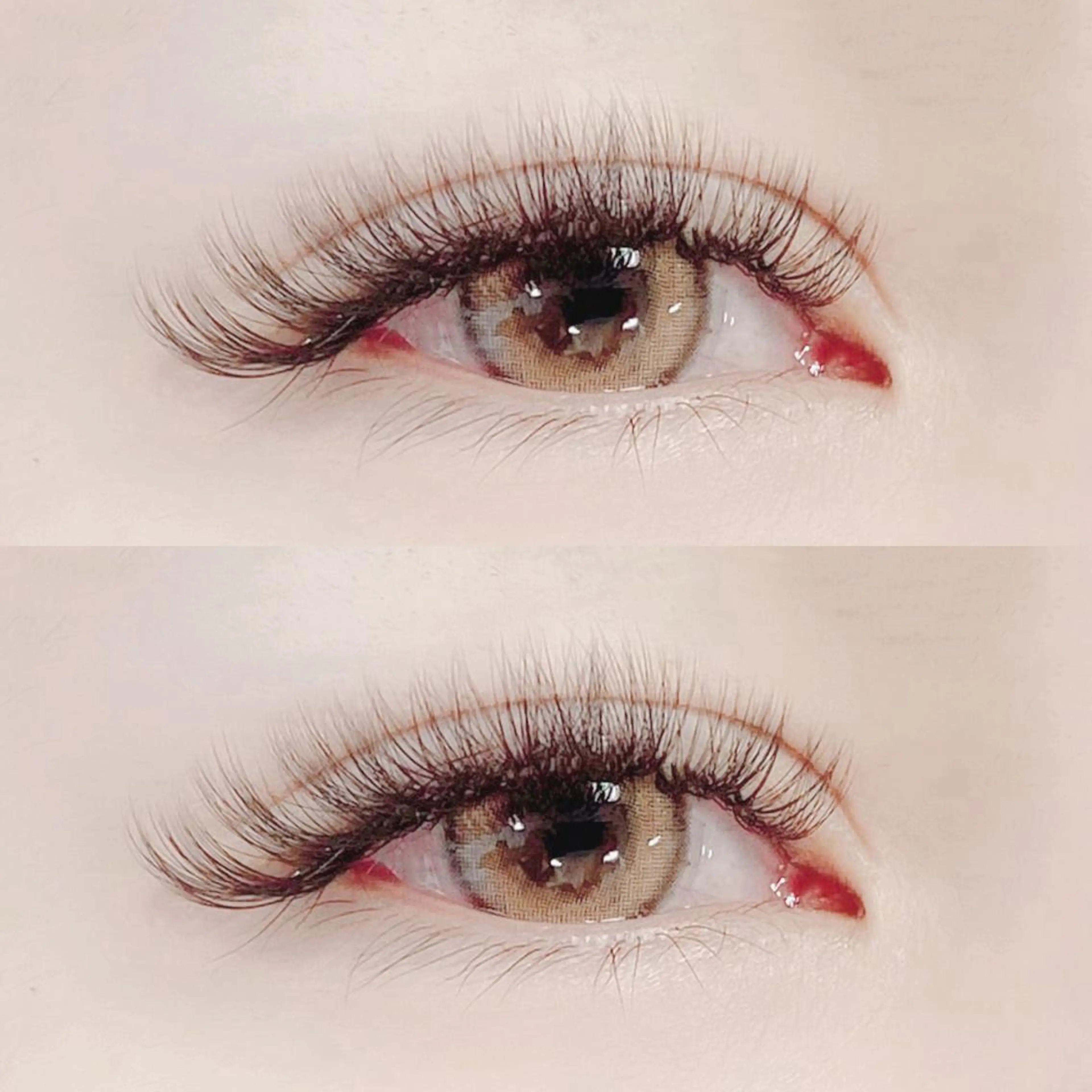 マツエク・マツパ ボリュームラッシュ FASTLASH🌹 パリジェンヌのマツエク・マツパデザイン