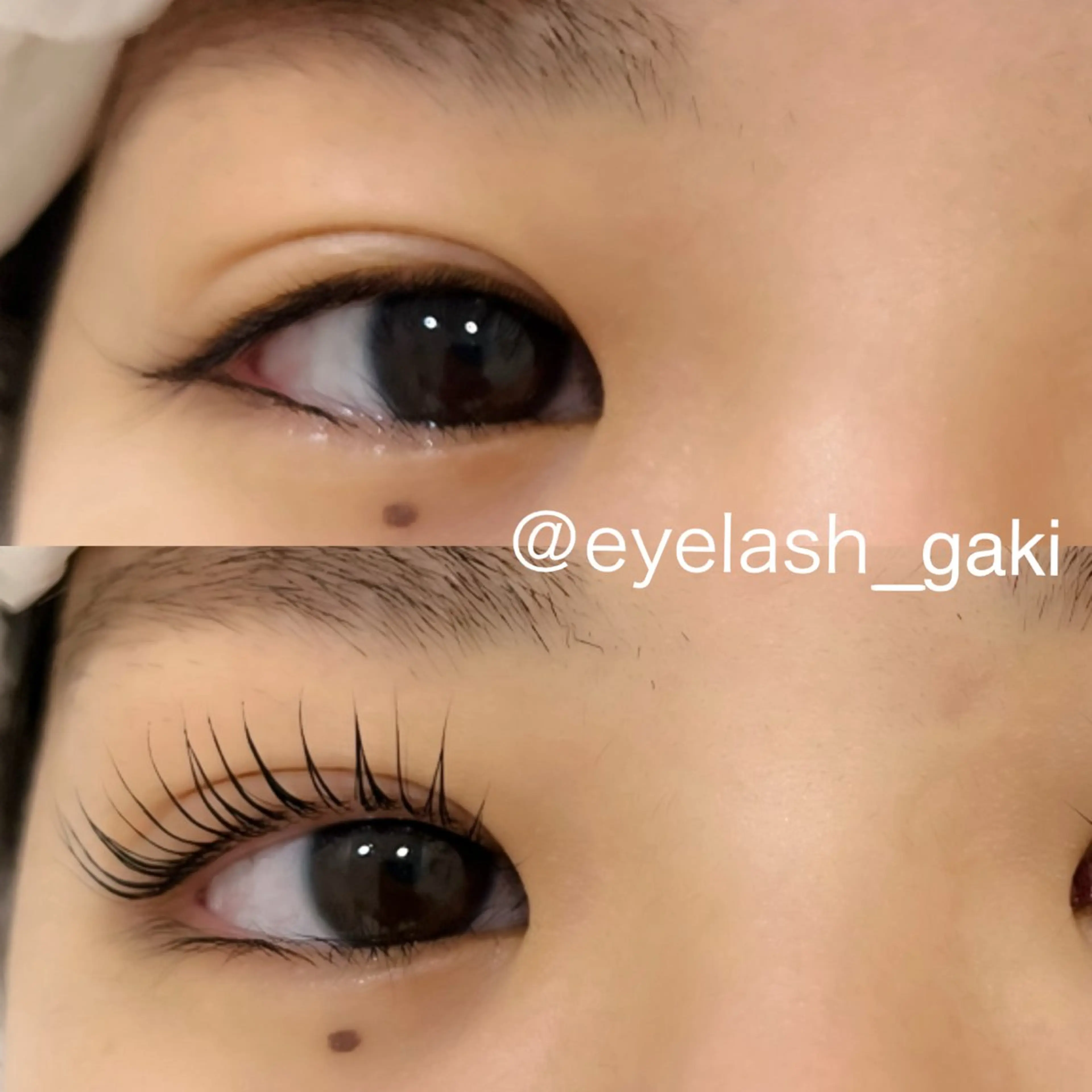 マツエク・マツパ パリジェンヌラッシュリフト 💐ANELA 板垣🧸のマツエク・マツパデザイン