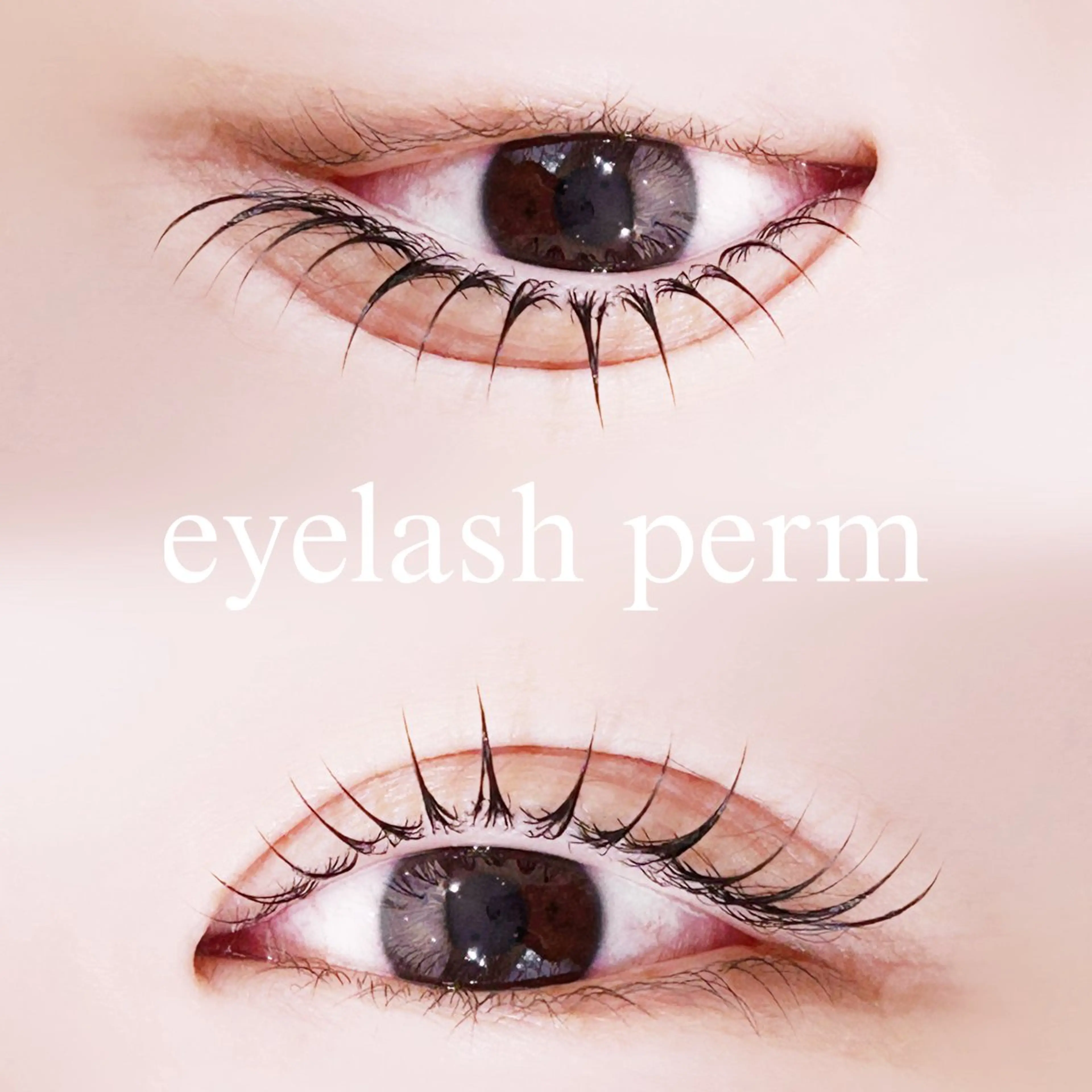 マツエク・マツパ マツパ 中村 雛里のマツエク・マツパデザイン