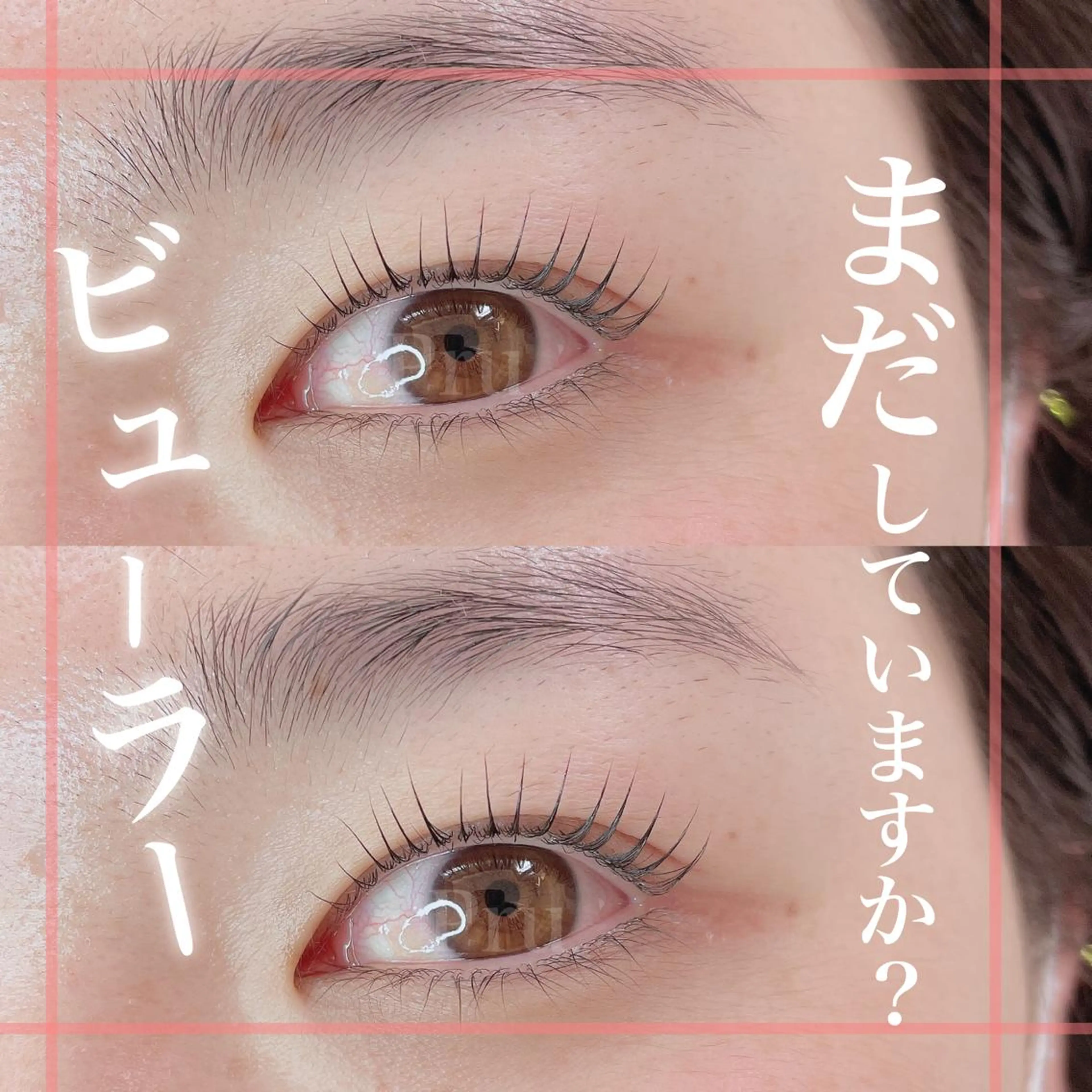 マツエク・マツパ プル eyelashのマツエク・マツパデザイン