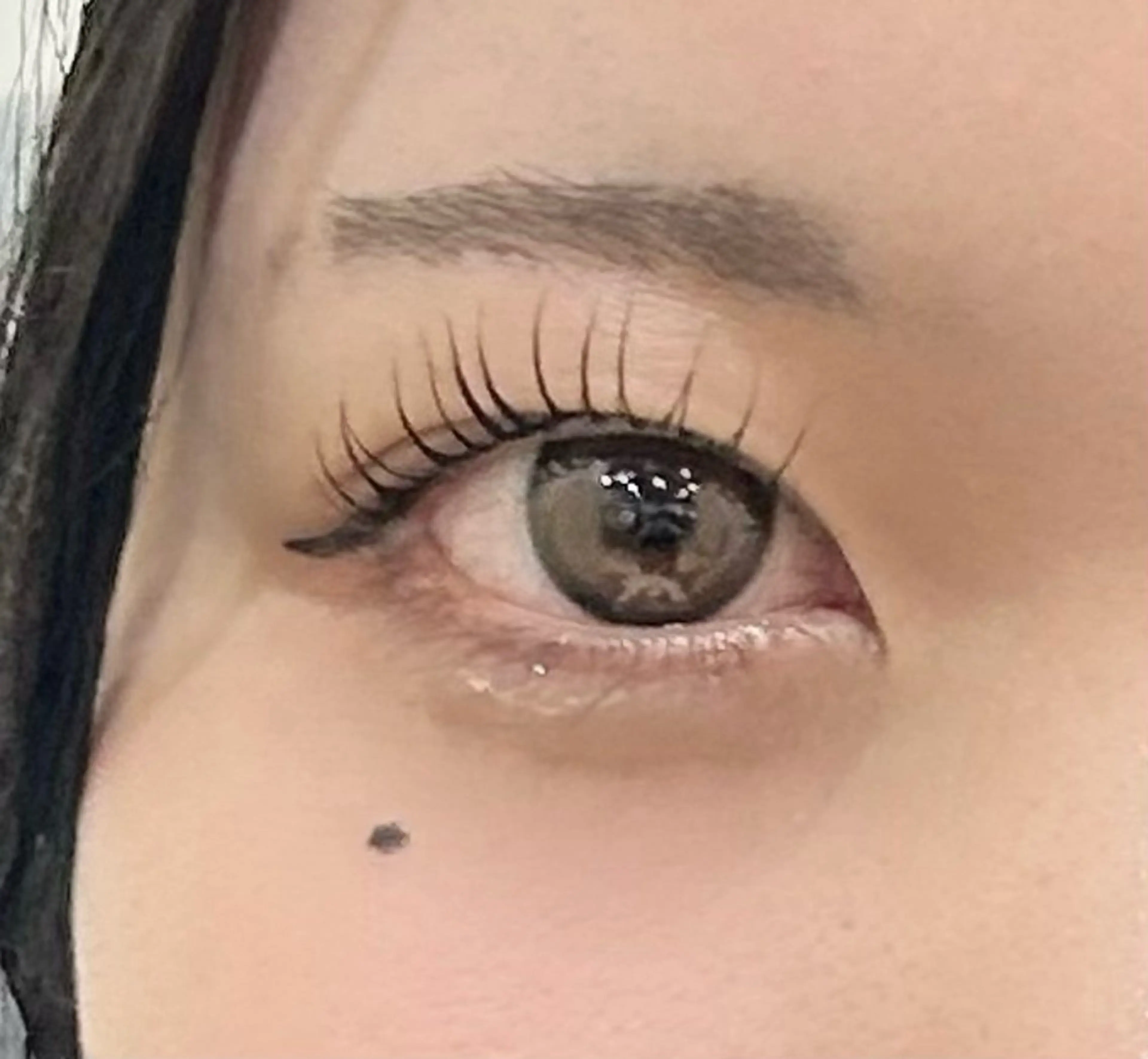 【✨先着5名様限定✨】パリジェンヌラッシュリフトorまつげパーマの写真