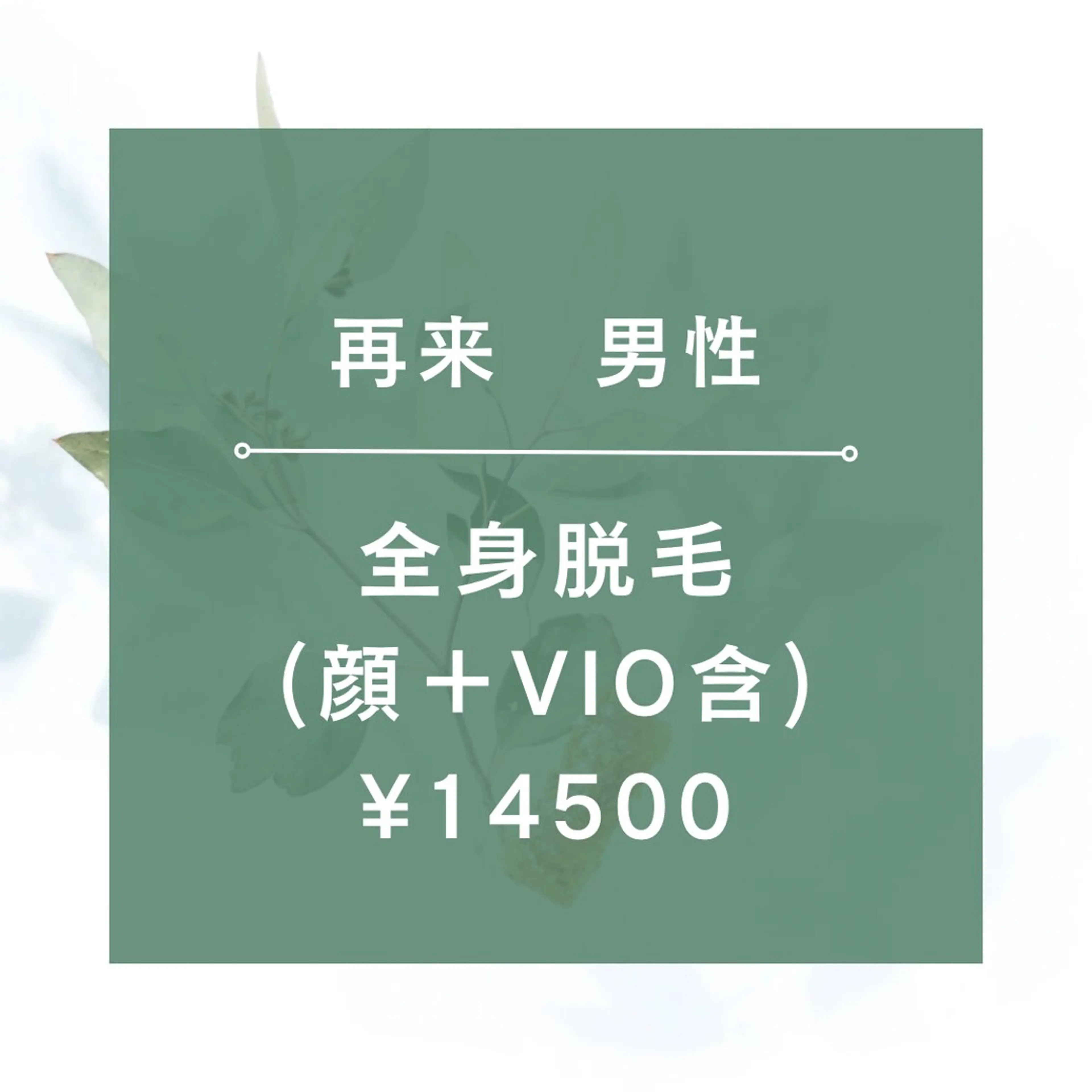 【再来男性】★☆全身脱毛(全顔+VIO含)/¥14500☆★90分の写真