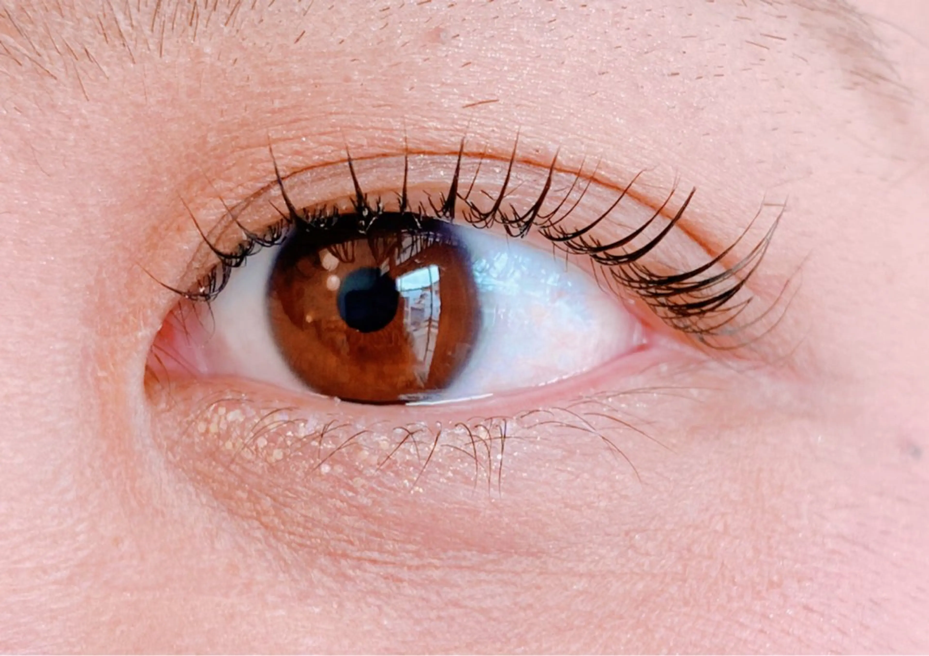 マツエク・マツパ Beauty Salon KANASA所属・KANASA 【カナサ】*Megのマツエク・マツパデザイン