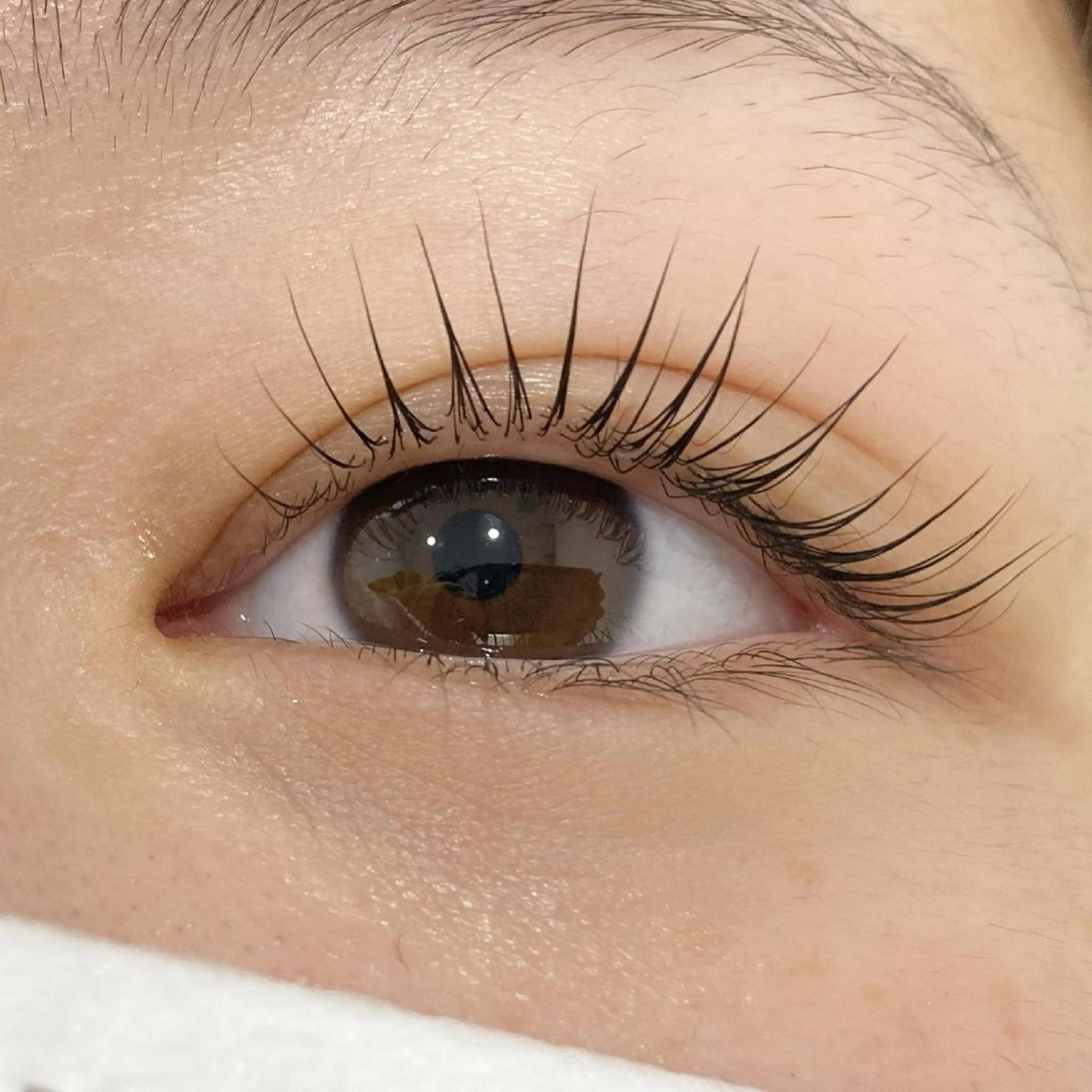 マツエク・マツパ パリジェンヌラッシュリフト eyelist Kumiのマツエク・マツパデザイン