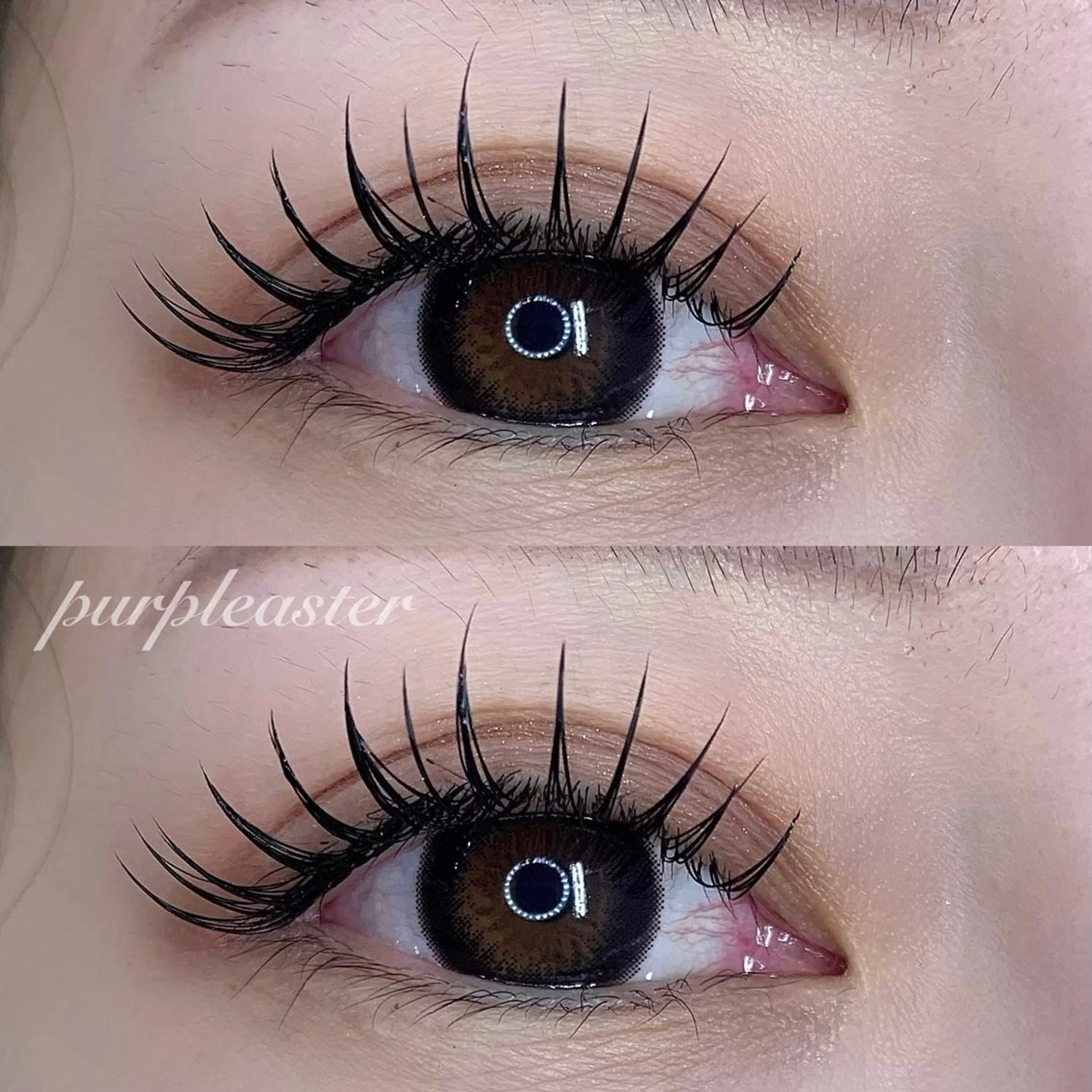 マツエク・マツパ 付け放題 purple aster名駅店所属・パープルアスター/ mako🐈‍⬛🤍のマツエク・マツパデザイン