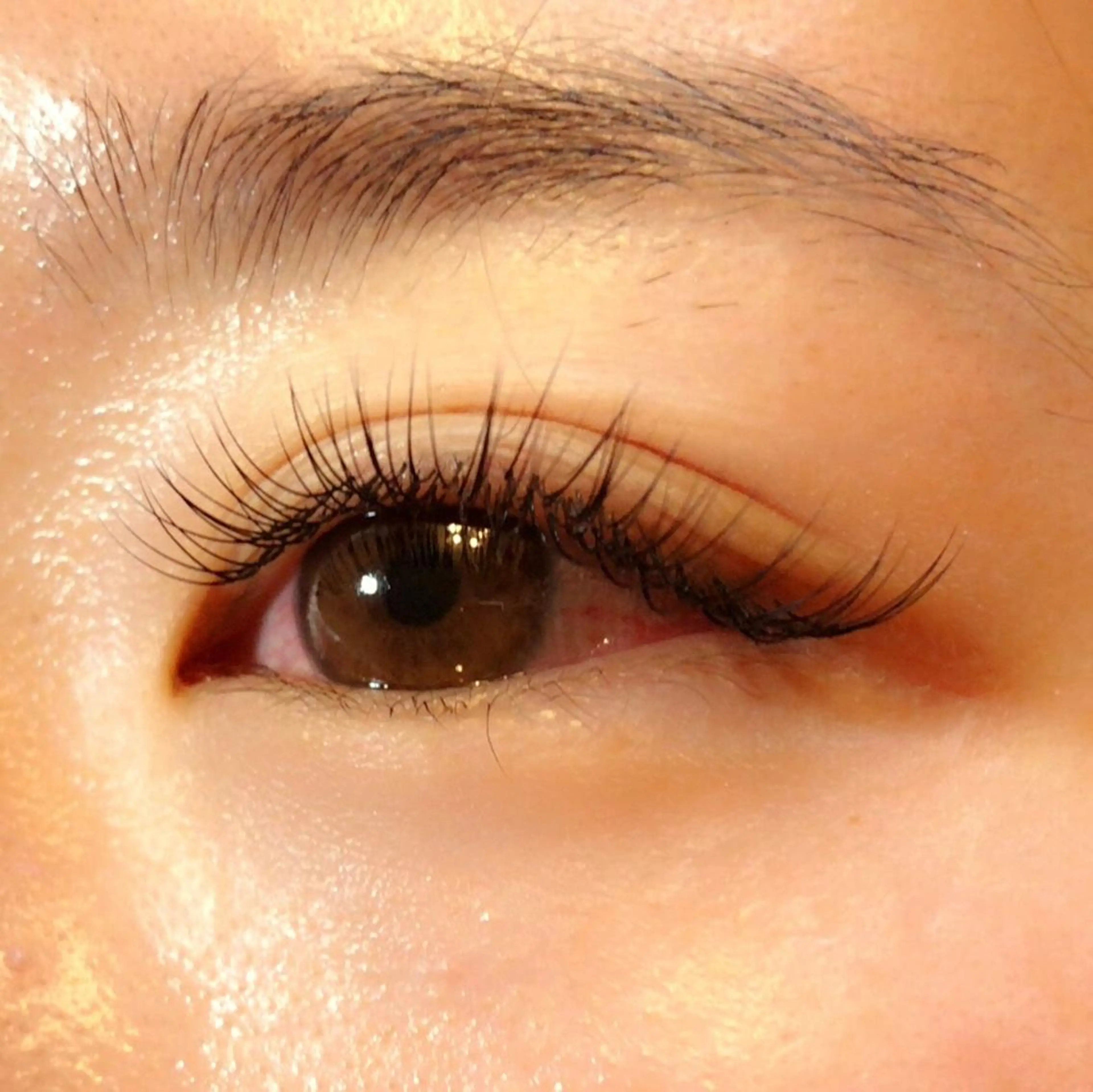 ミディアム カラー メンズ キッズ ネイル マツエク・マツパ 地域 No. 1店 nail&eyelash Liliana所属・ベテランのお店です 🍓.Lilianaのマツエク・マツパデザイン