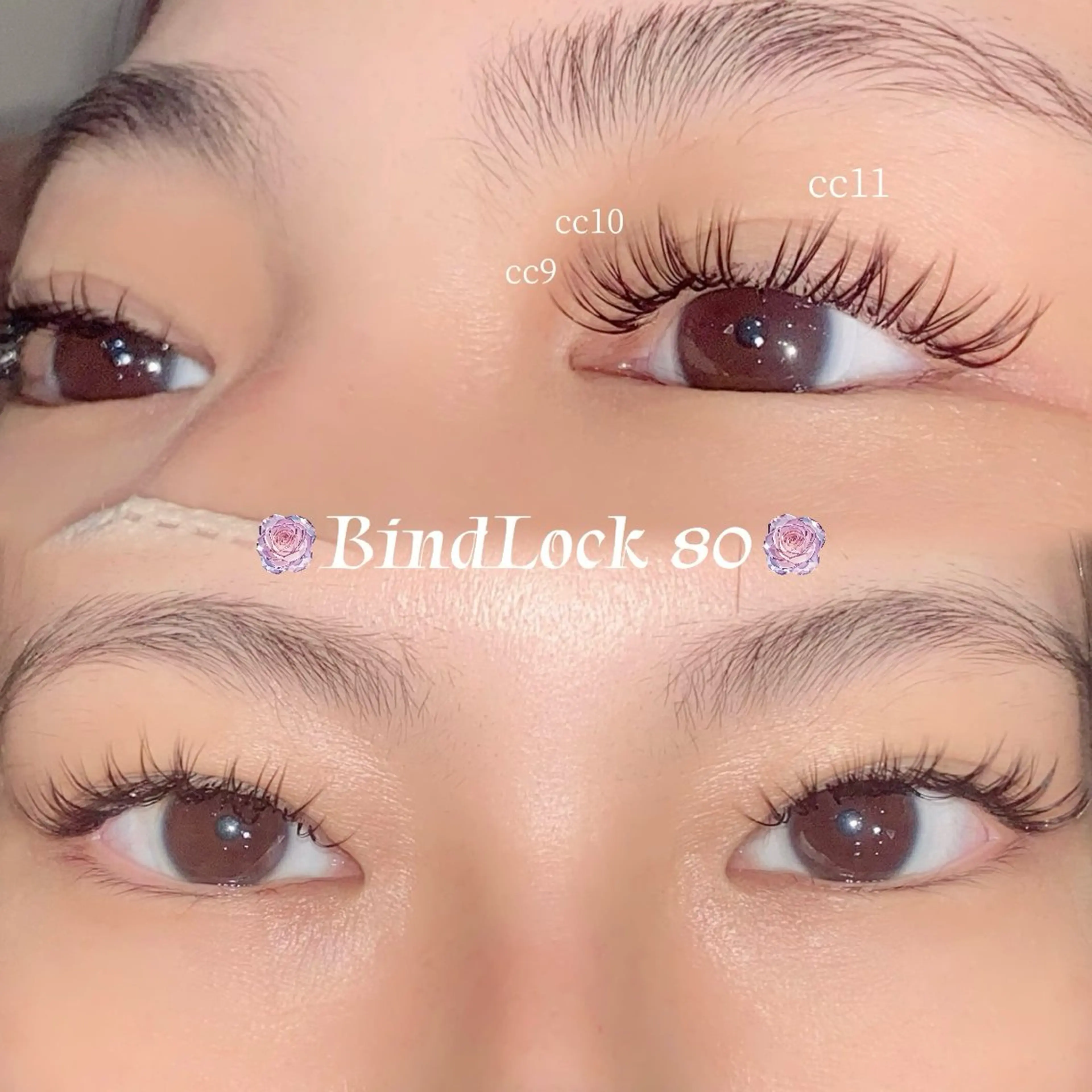 【🌼バインドロック60束🌼】の写真