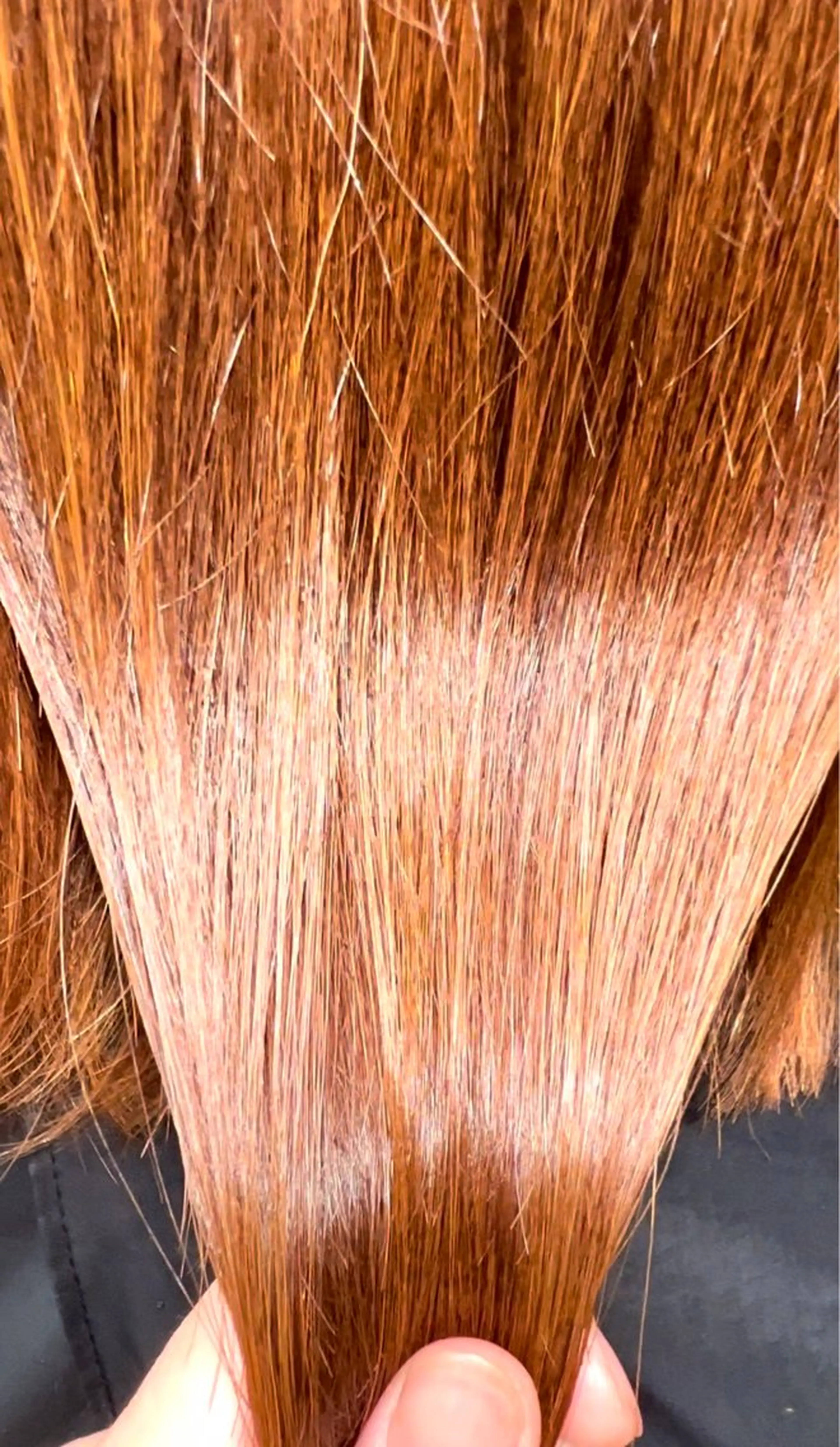 ミディアム カラー men's&ladys J'sGrace【メンズアンドレディース ジェイズグレイス】所属・🌻J'sGrace /JUMA🌻のヘアスタイル