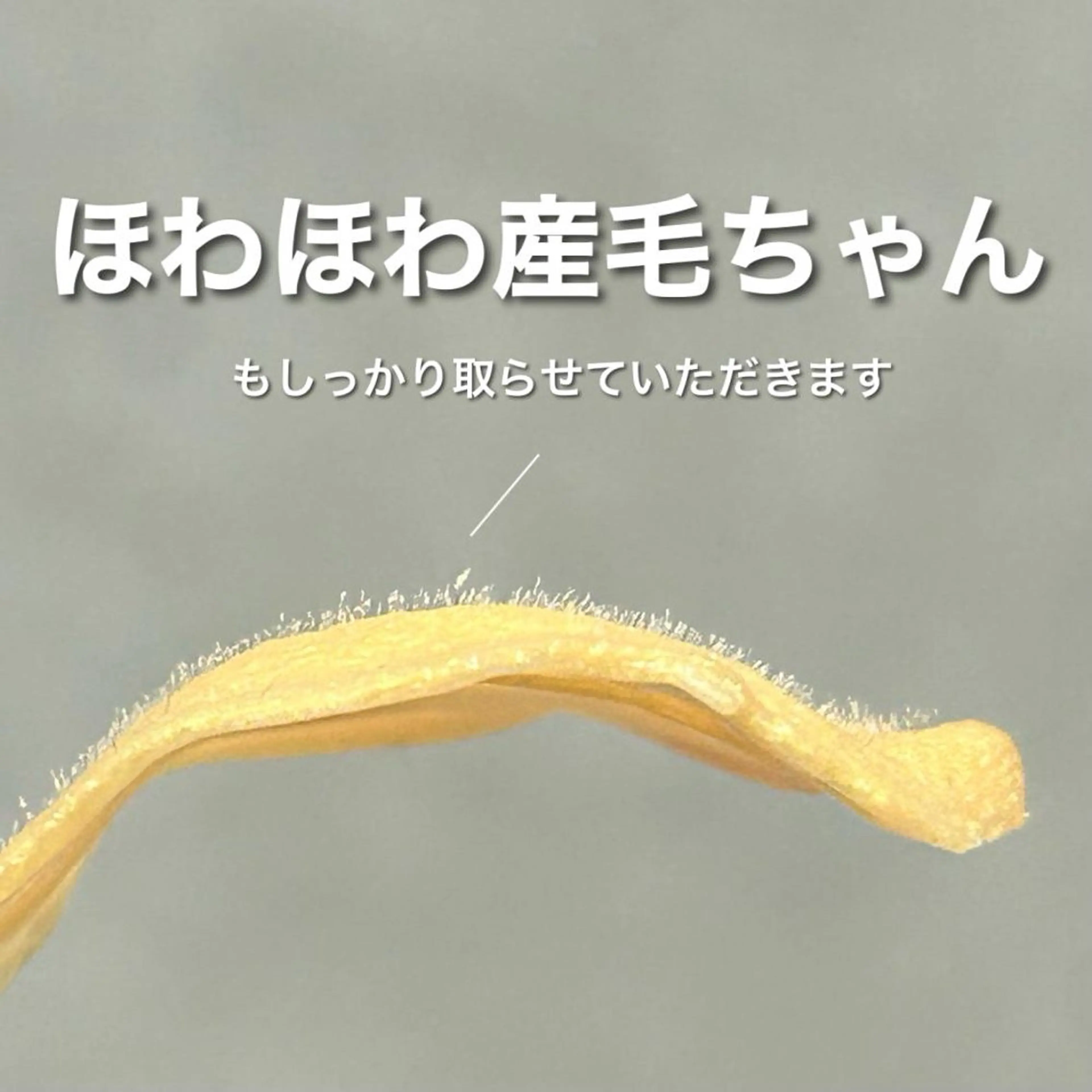 waxyyy. madokaの眉毛・アイブロウイメージ