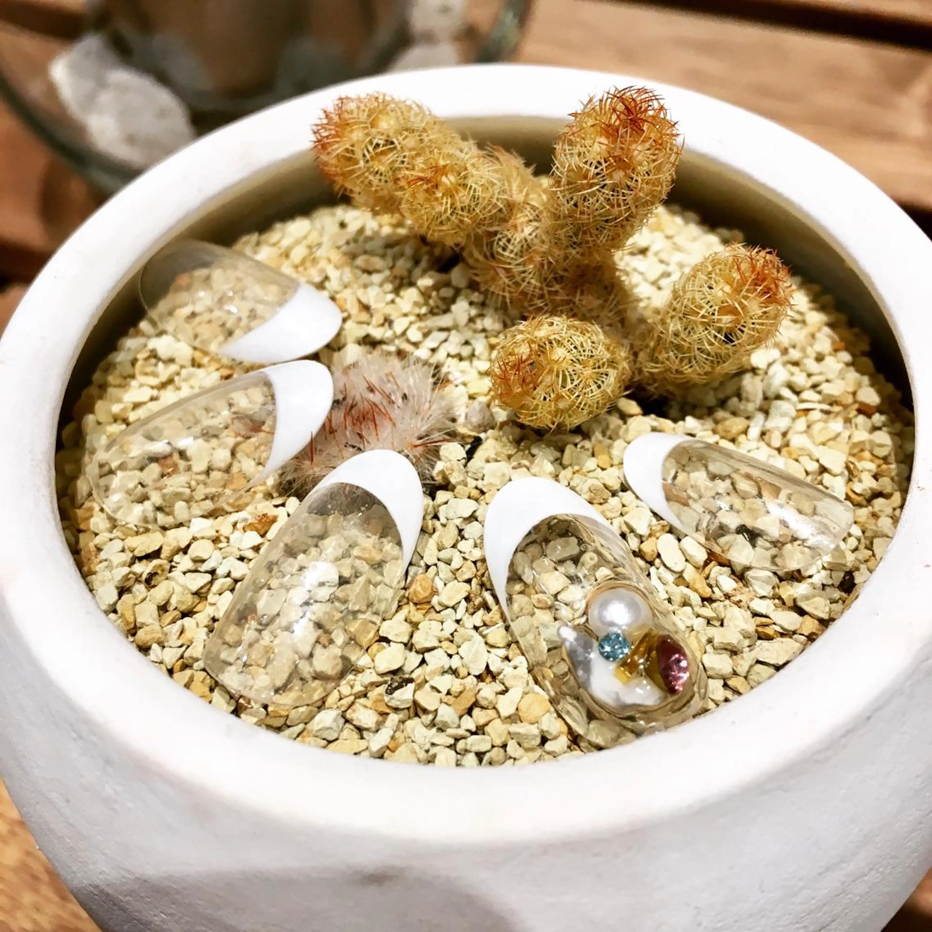 ネイル フレンチネイル シンプルネイル ホワイト 佐藤 まりえのネイルデザイン