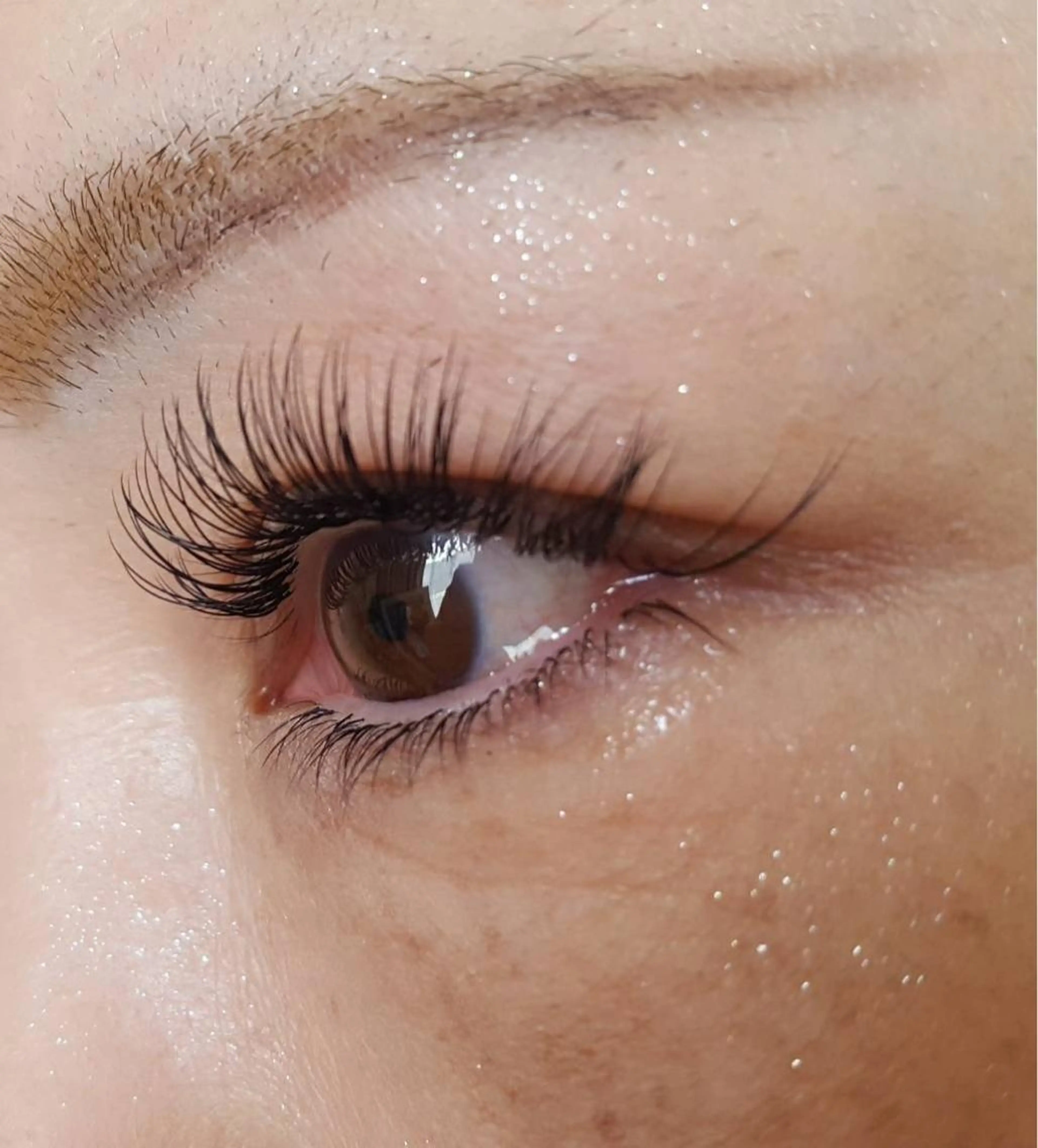 初回上下まつ毛エクステ付け放題の写真