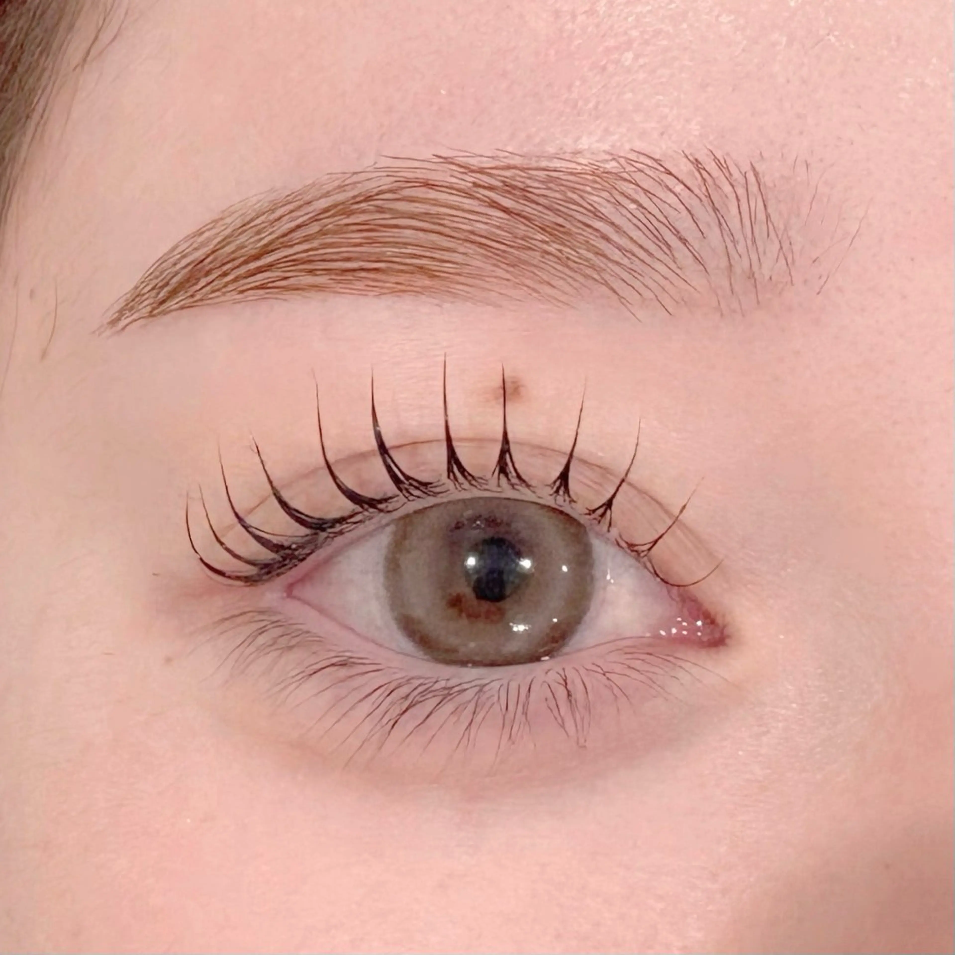 マツエク・マツパ 韓国風マツエク 一重×まつ毛パーマ レイフィールド北名古屋所属・レイフィールド 服部のマツエク・マツパデザイン