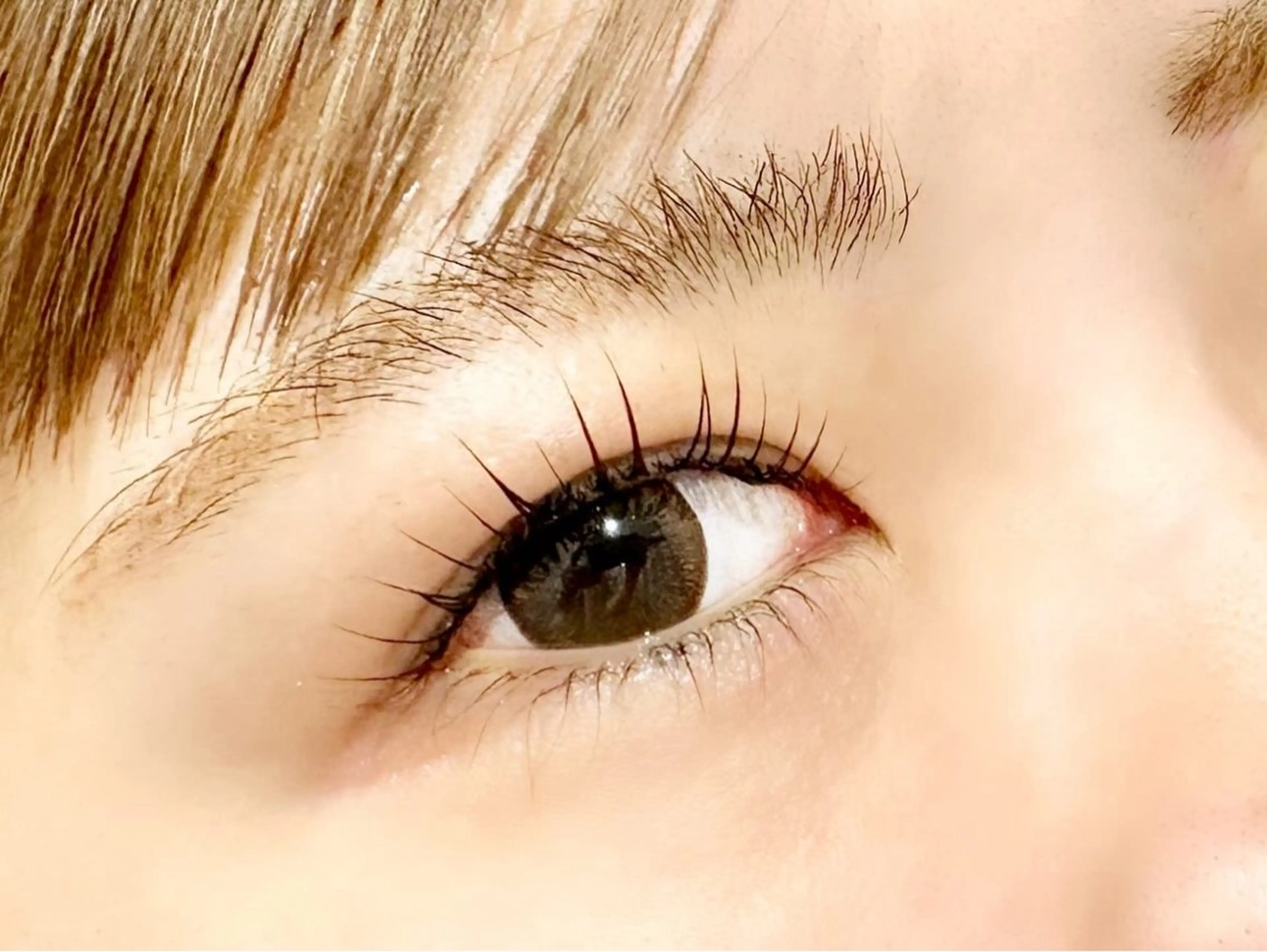 マツエク・マツパ 一重×まつ毛パーマ NINE🕊️ Rihoのマツエク・マツパデザイン