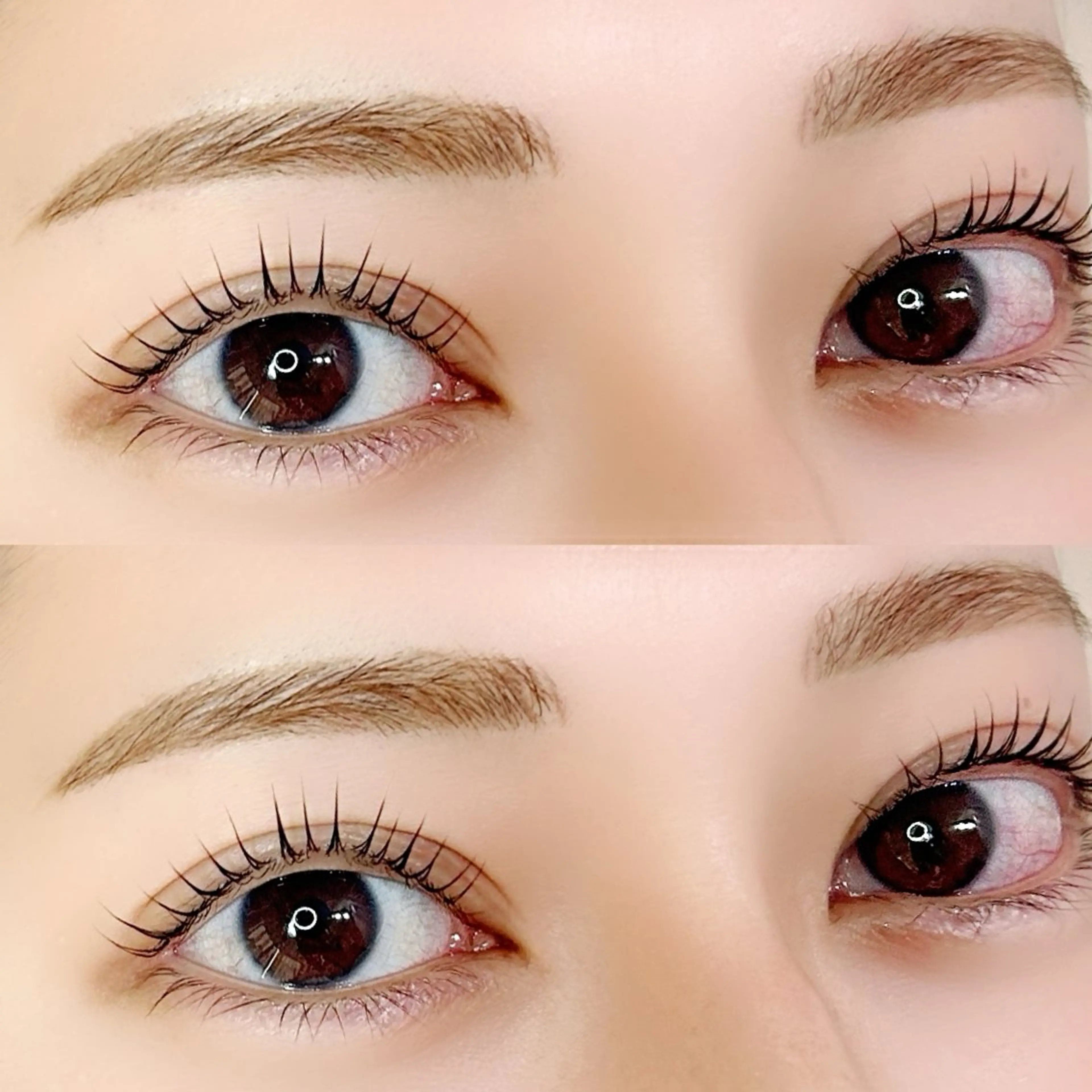 【12月限定🍁🍂】パリジェンヌラッシュリフト➕ダメージ補習✨トリートメント‪«再来+¥500»の写真