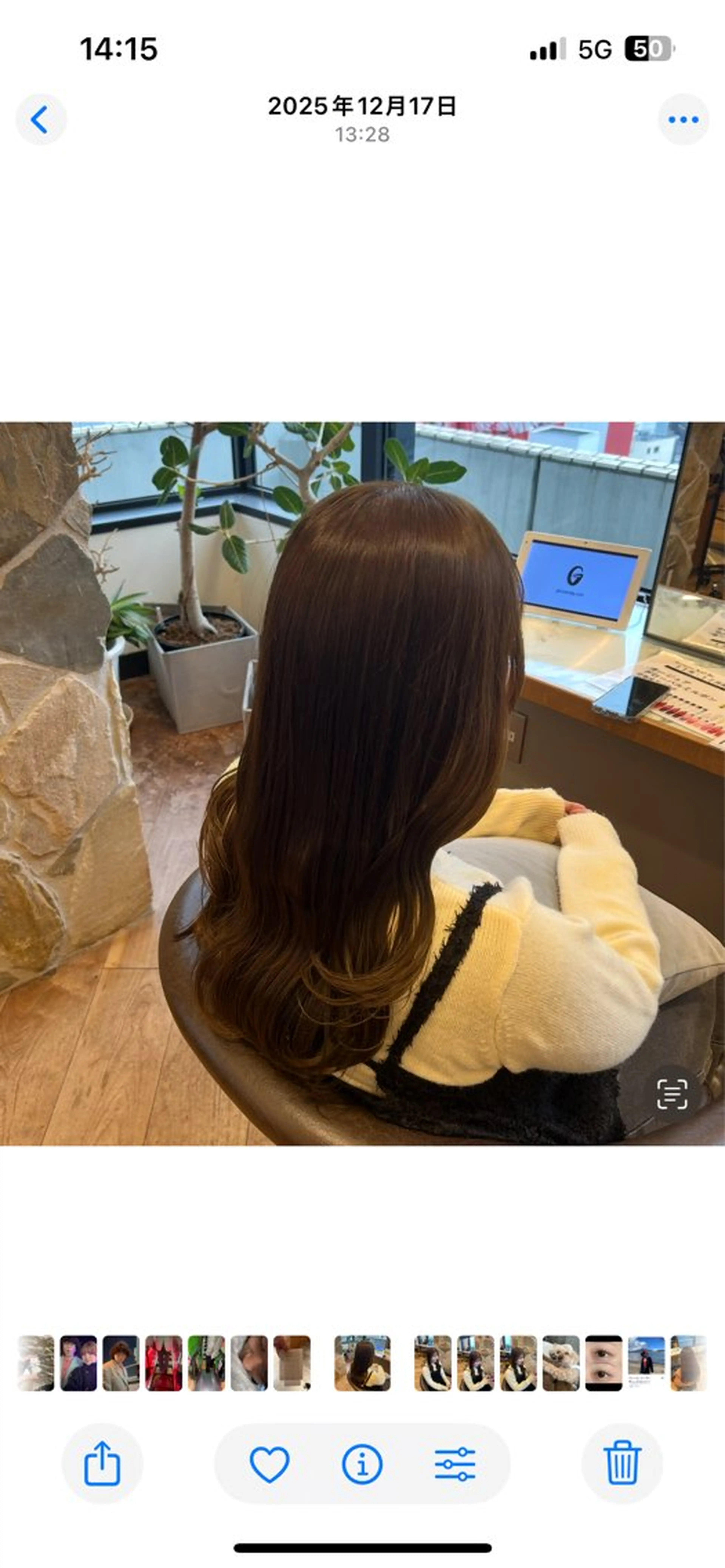 ワンカラーの写真