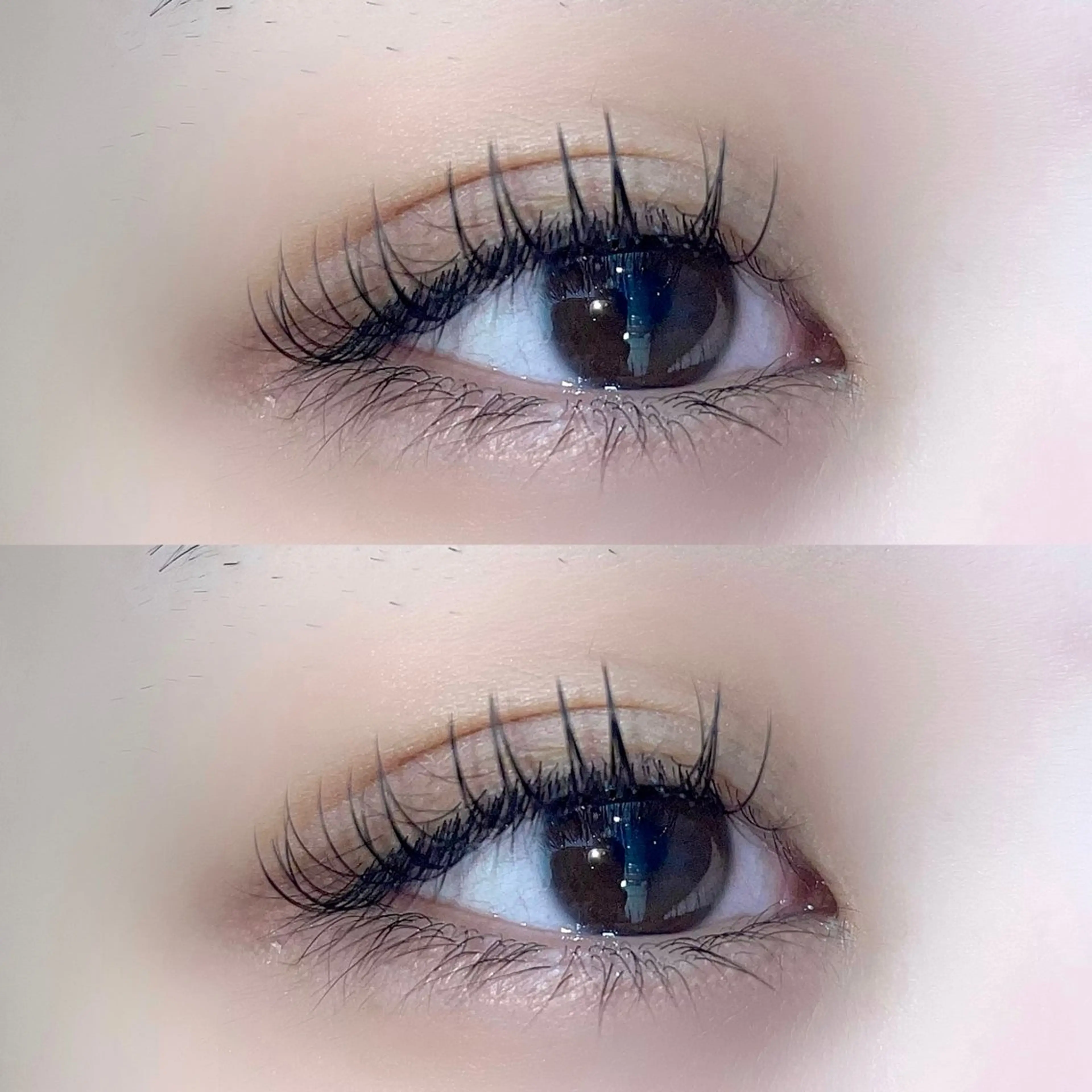 マツエク・マツパ Dカール フラットラッシュ マツエク 【Amaranth】 立川店🌟のマツエク・マツパデザイン