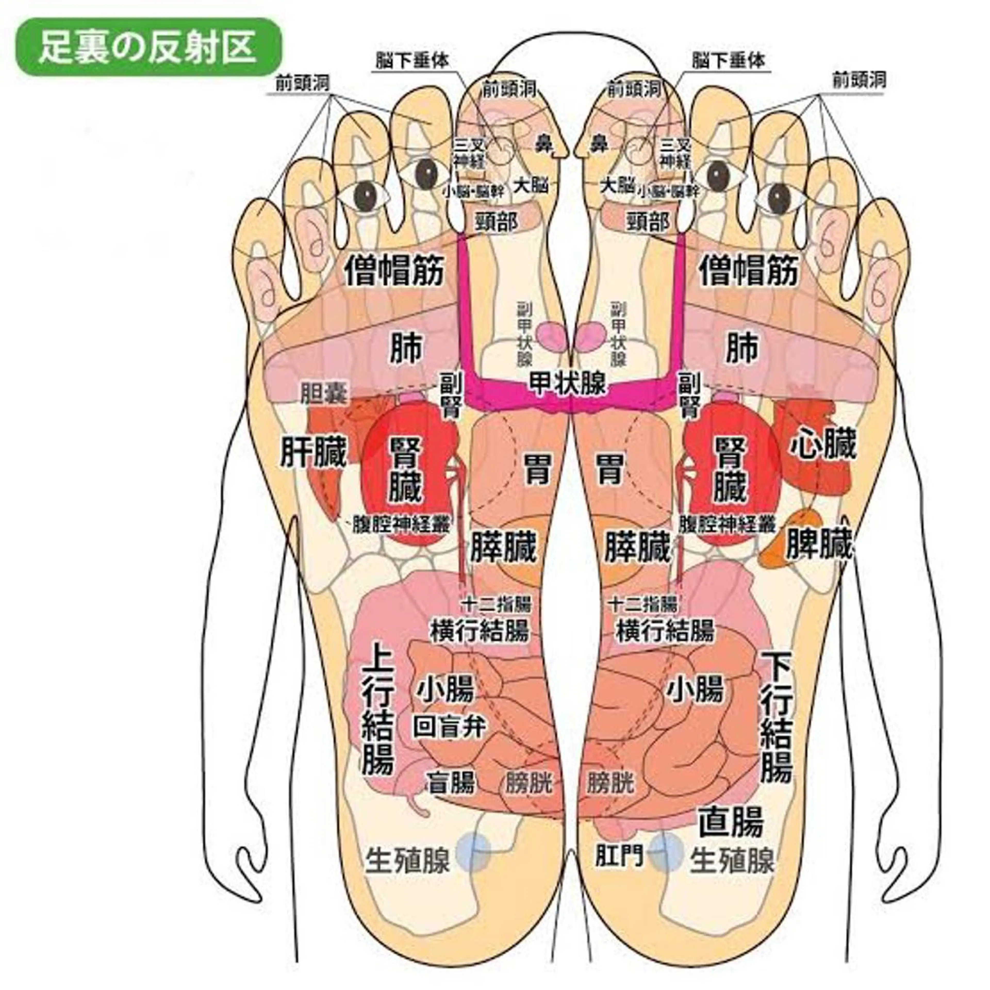 lupo エステ.ネイルのエステ・リラクイメージ