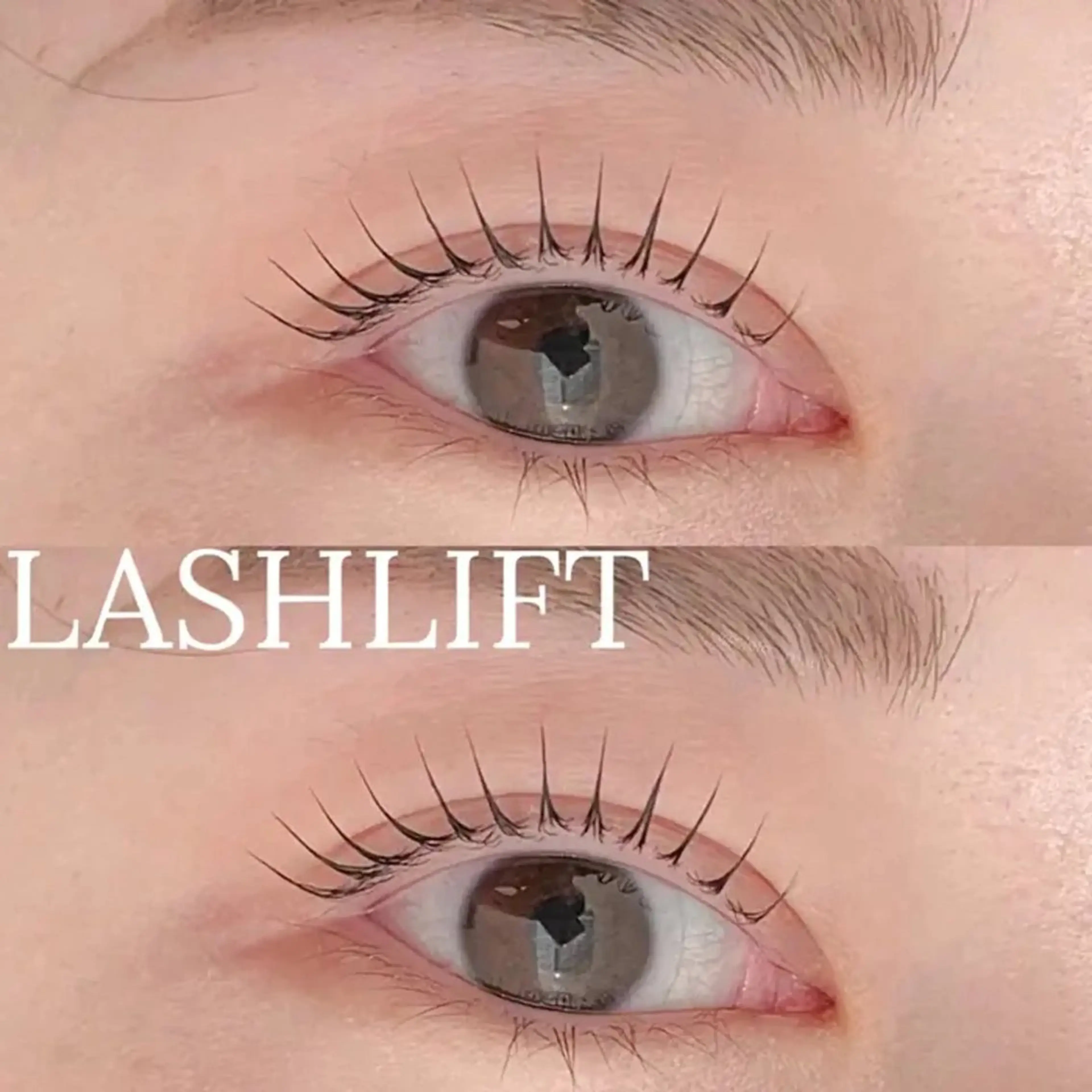 🎀似合わせまつげパーマ🎀ﾄﾘｰﾄﾒﾝﾄコーティング付きの写真