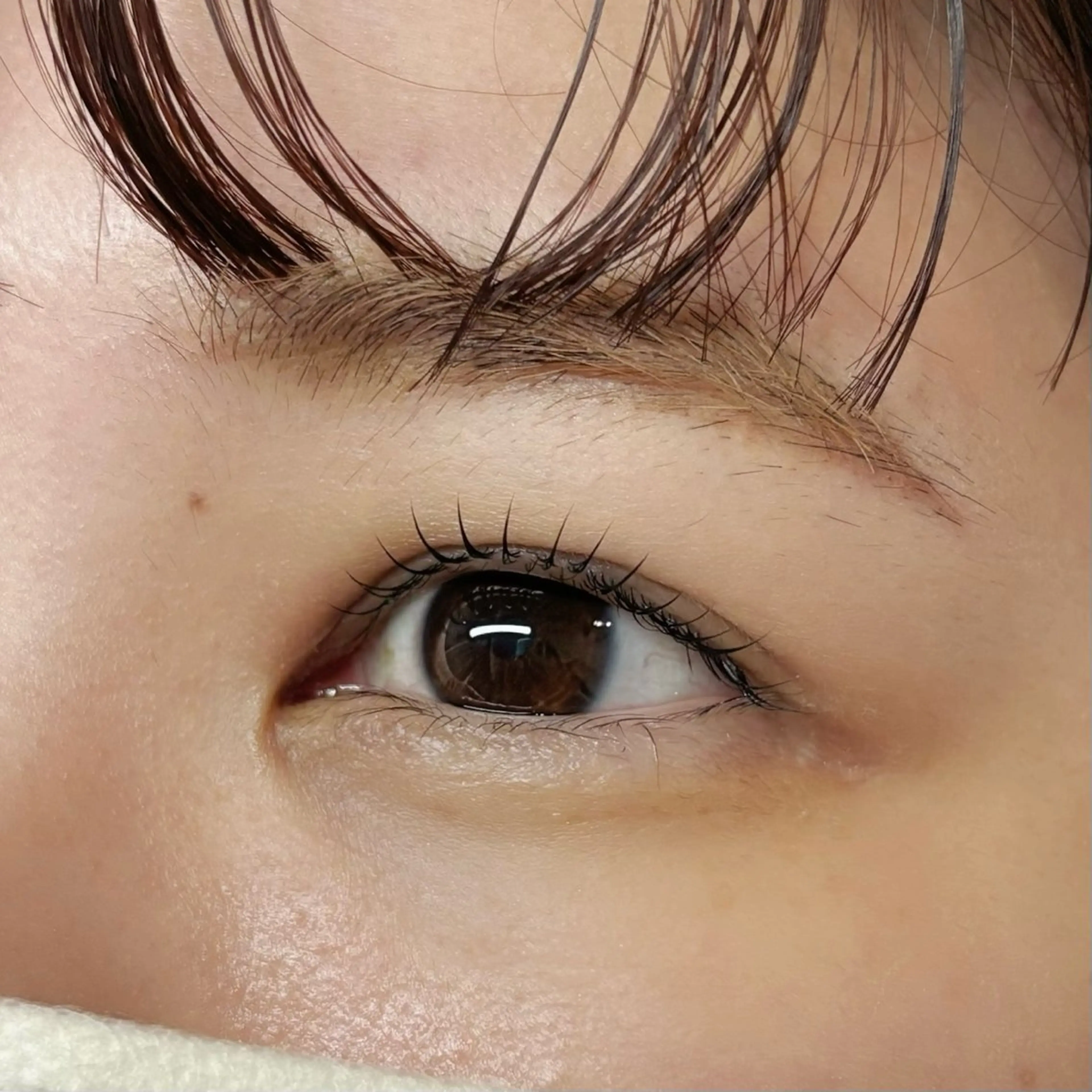 マツエク・マツパ ハルナ🐈‍⬛ Arune 大宮のマツエク・マツパデザイン