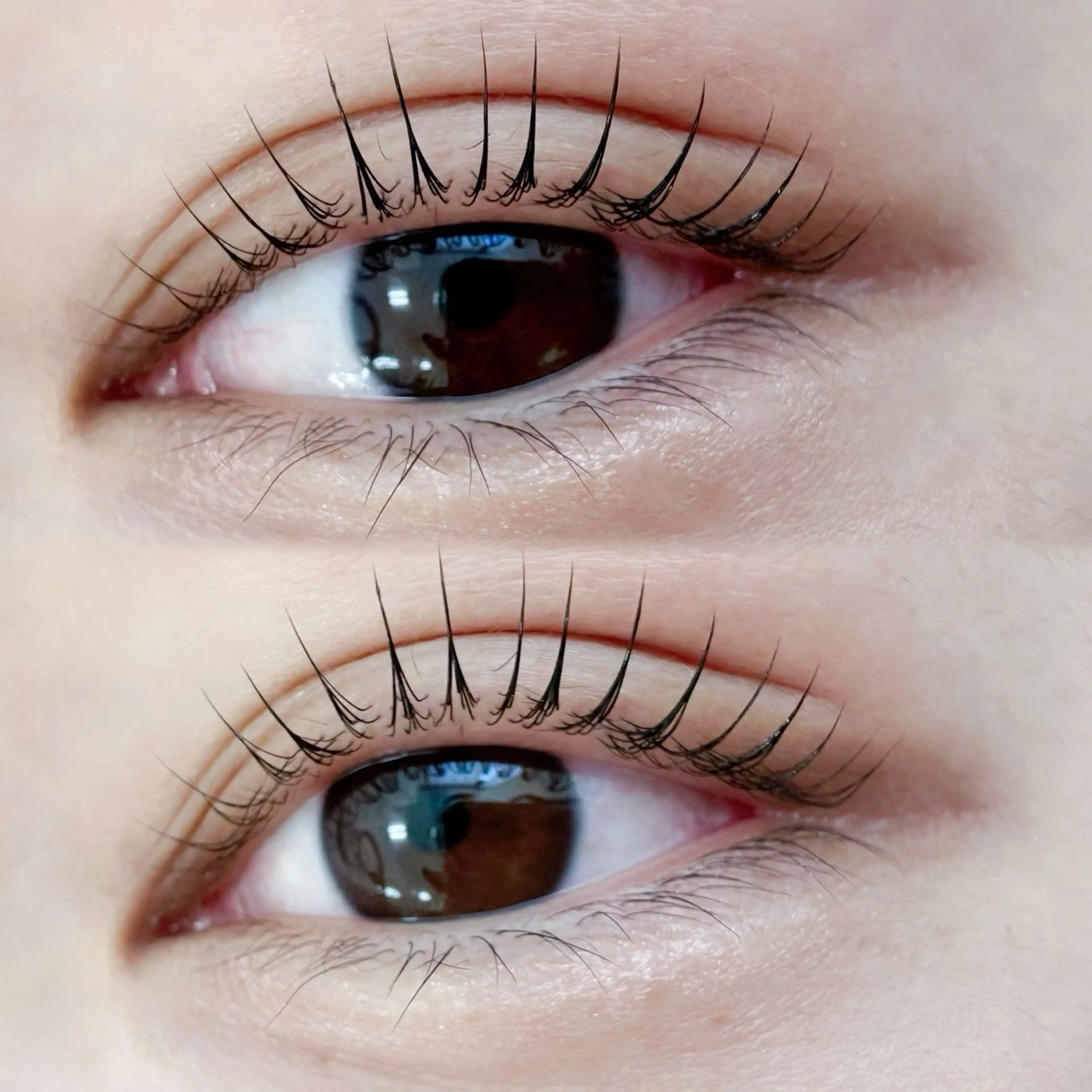 マツエク・マツパ 束感まつ毛 マツパ 【Natully】 Ami🧸のマツエク・マツパデザイン