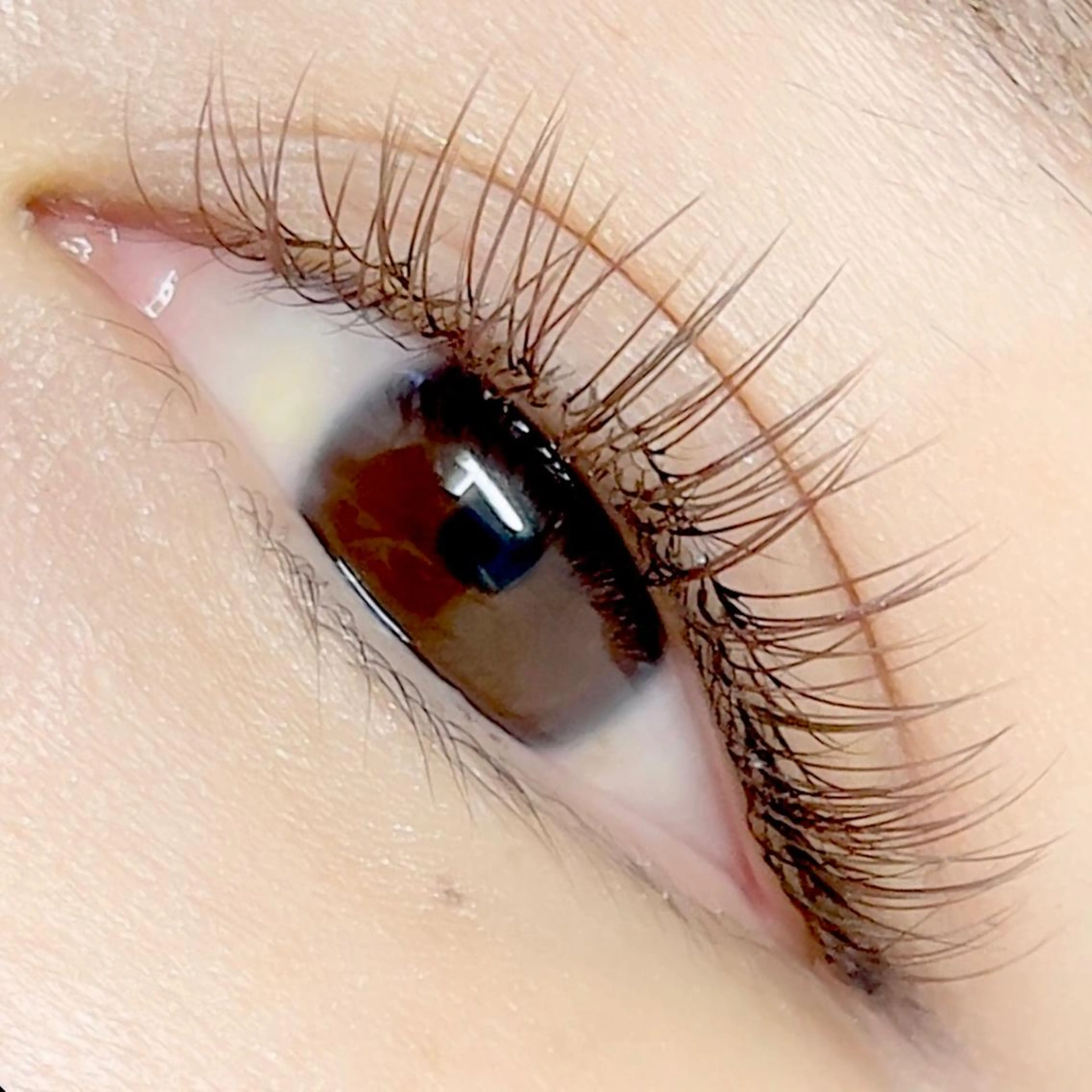 マツエク・マツパ Lanieina所属・Lanieina/ RinaSuganoのエステ・リラクイメージ