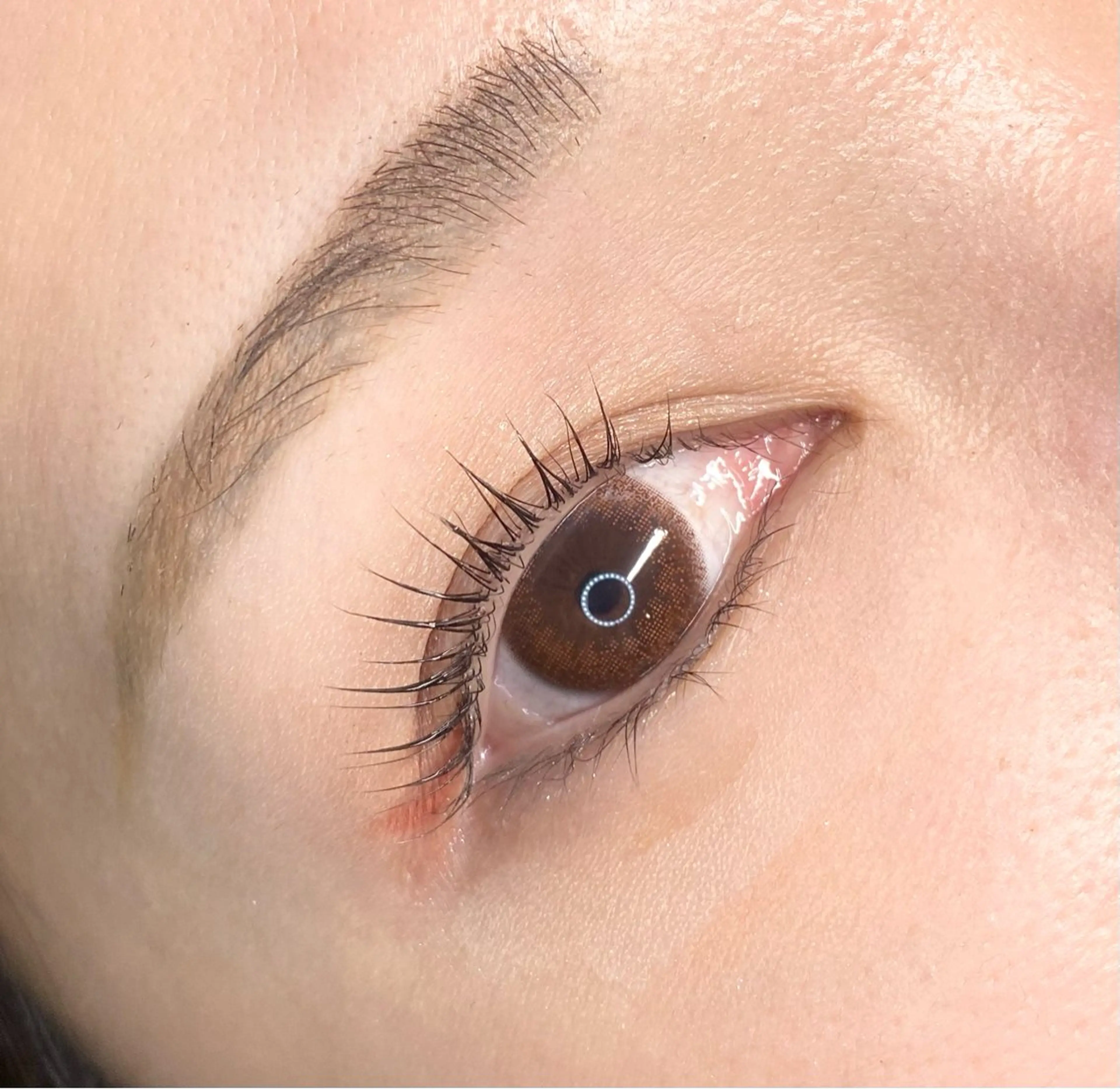 マツエク・マツパ LEDエクステ専門店 Fedis 京橋のマツエク・マツパデザイン