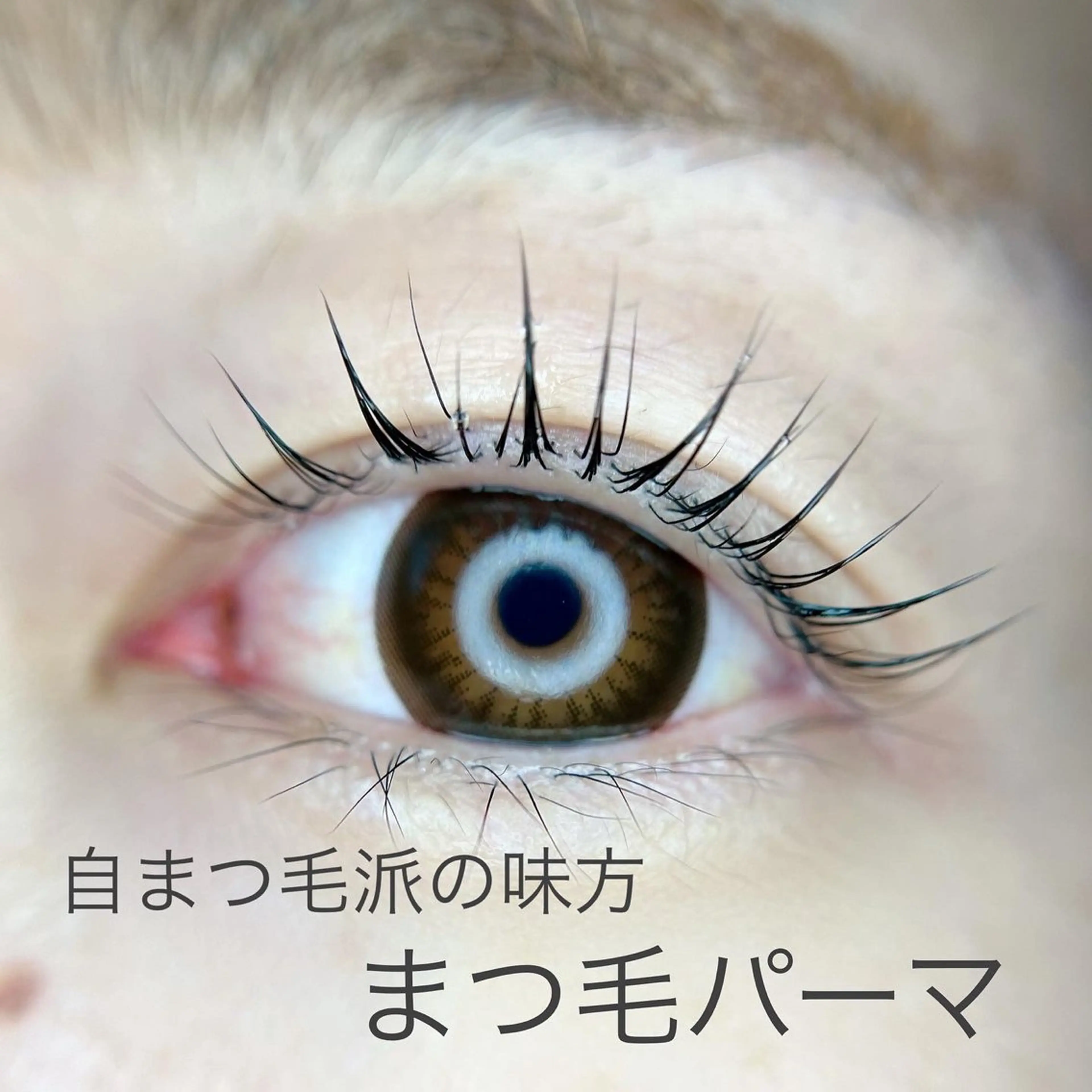 マツエク・マツパ Emio所属・ayumi kitaのエステ・リラクイメージ