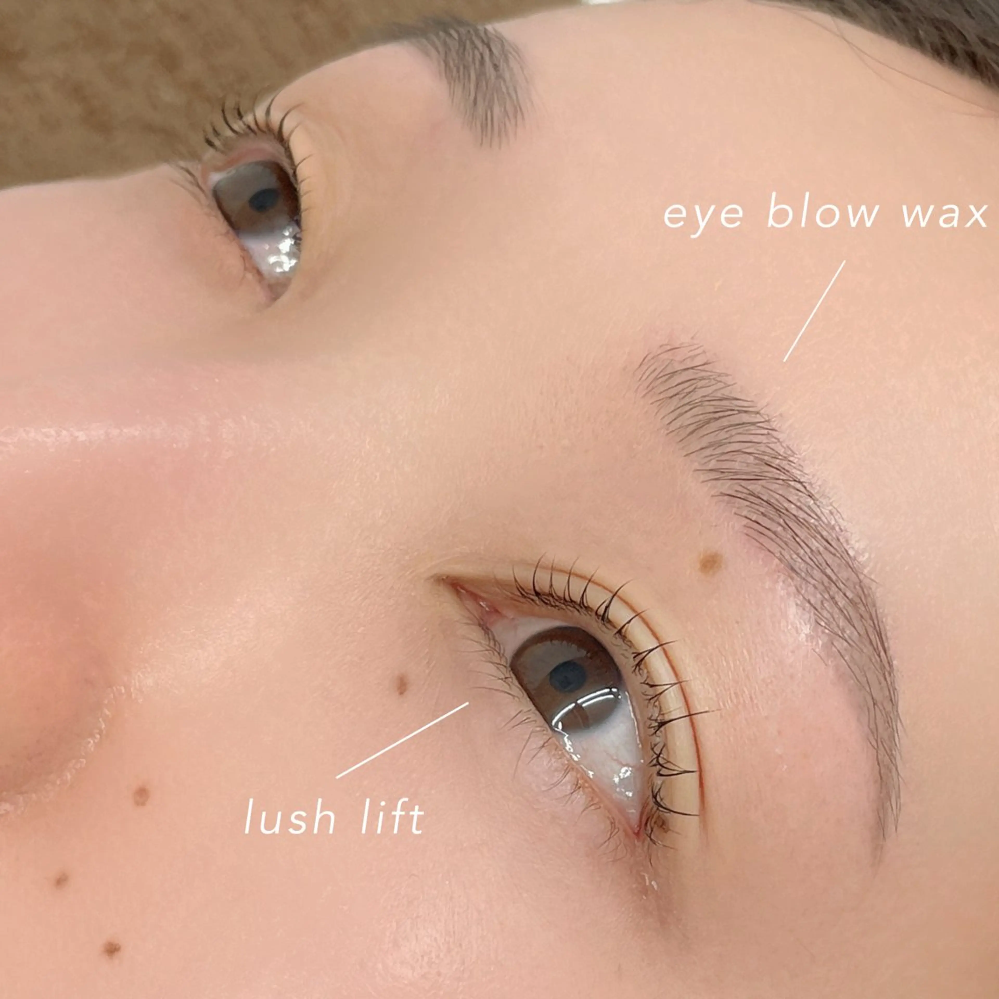 アイブロウ 眉カラー 眉毛ワックス脱毛 mai /マツパ.眉のマツエク・マツパデザイン