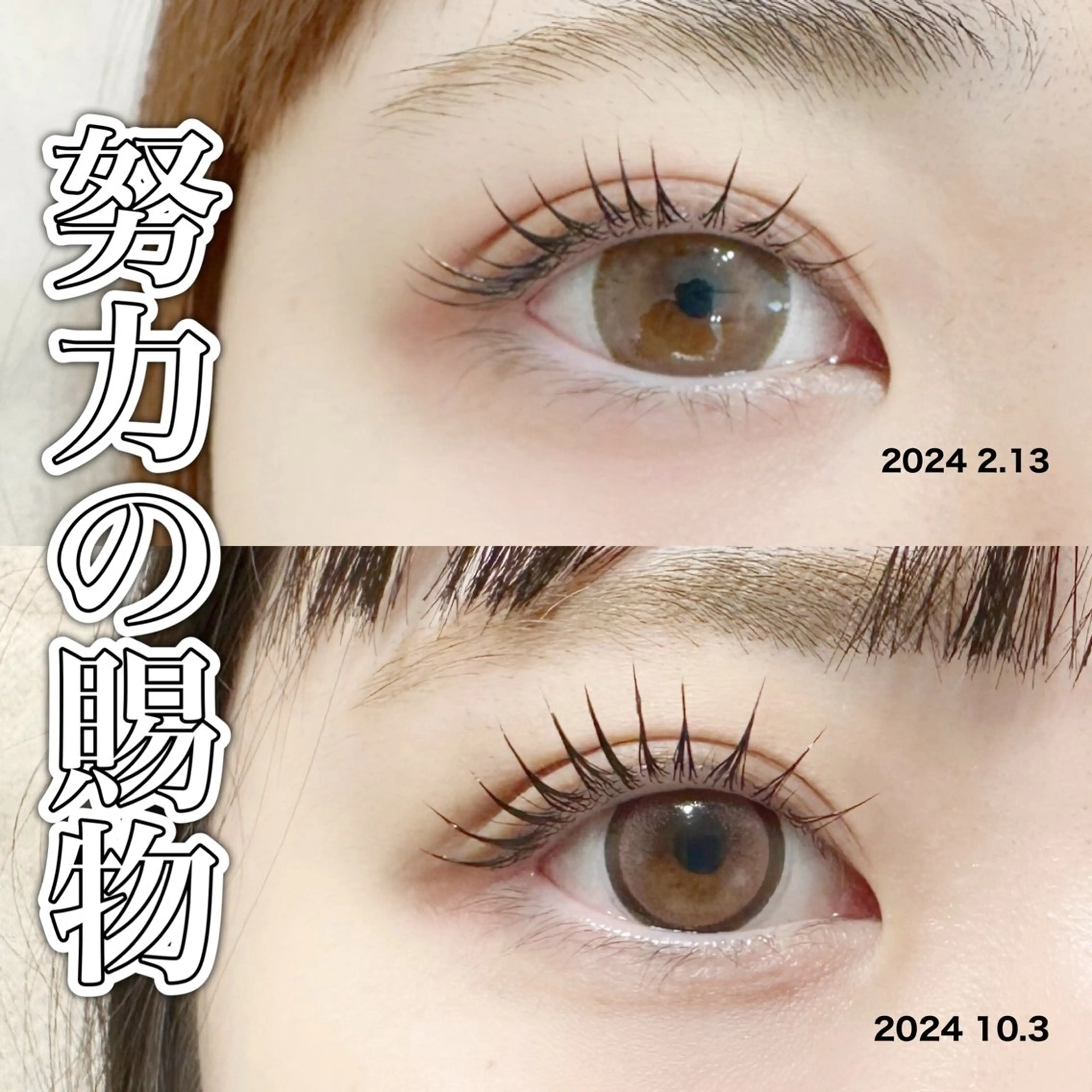 マツエク・マツパ まつげパーマ 一重×まつ毛パーマ マツパ charm所属・charm 【📍大名】のマツエク・マツパデザイン