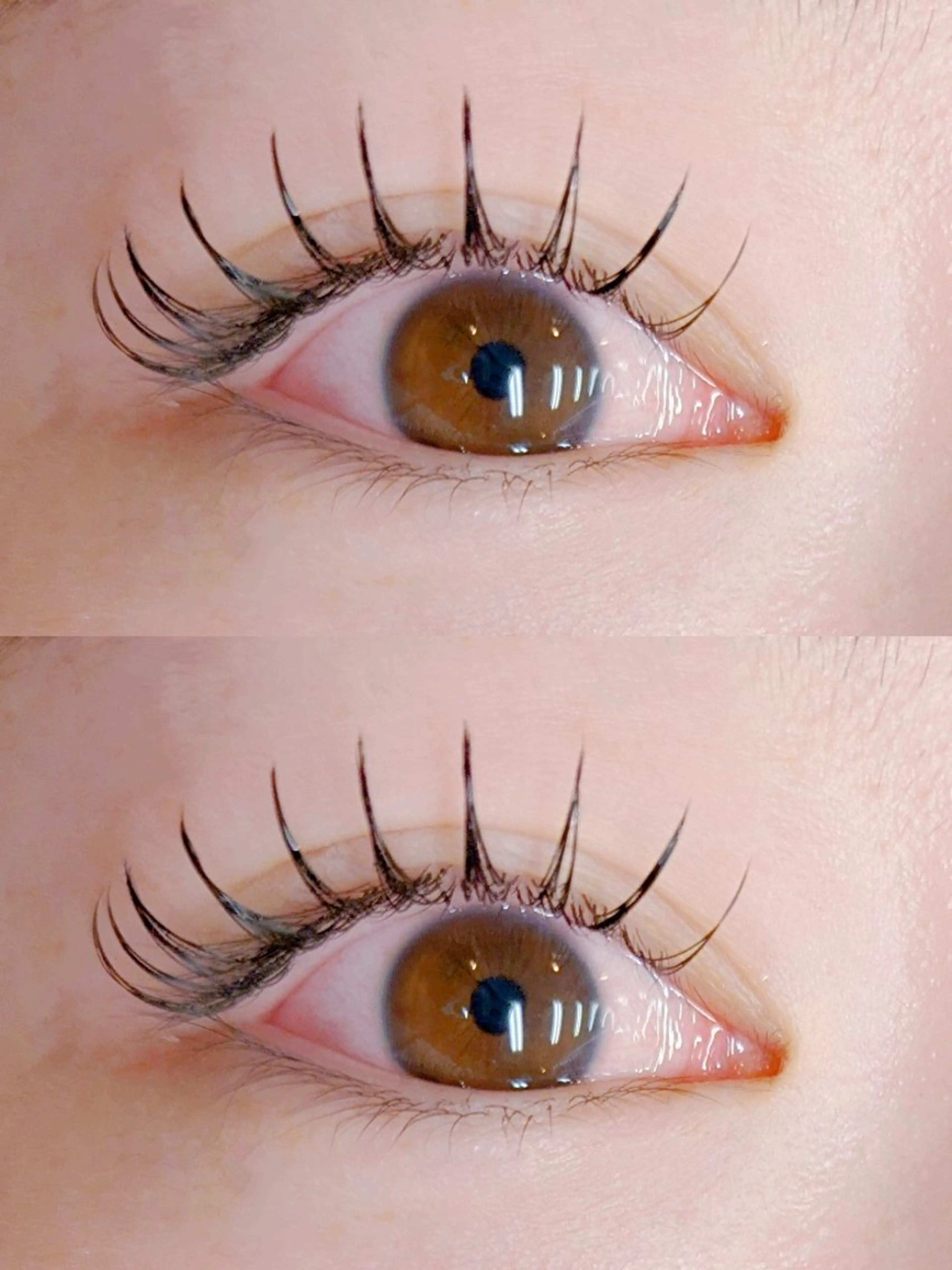 【オフ無し】160本フラットラッシュの写真