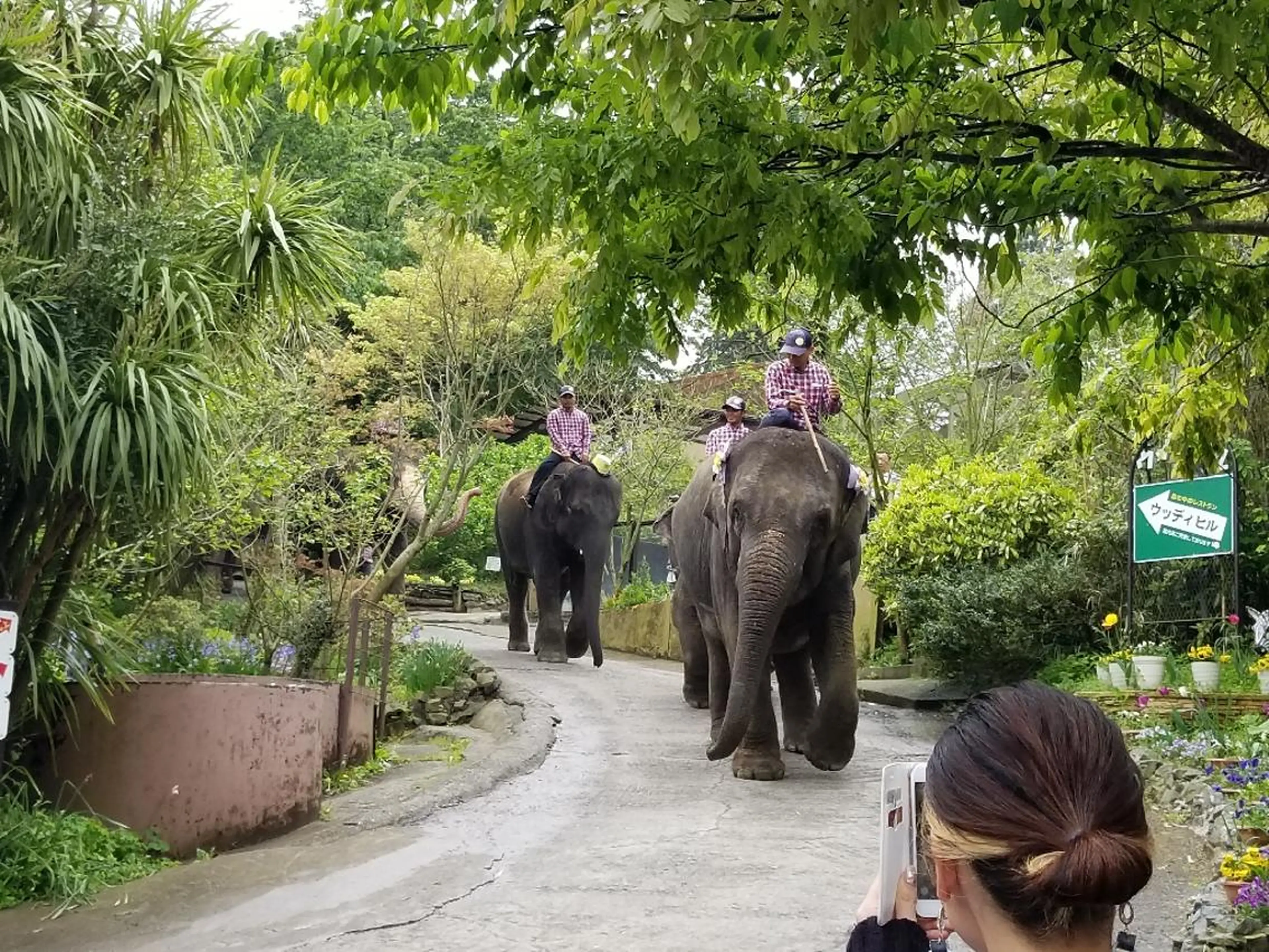 GIFT所属・谷 結奈のヘアスタイル