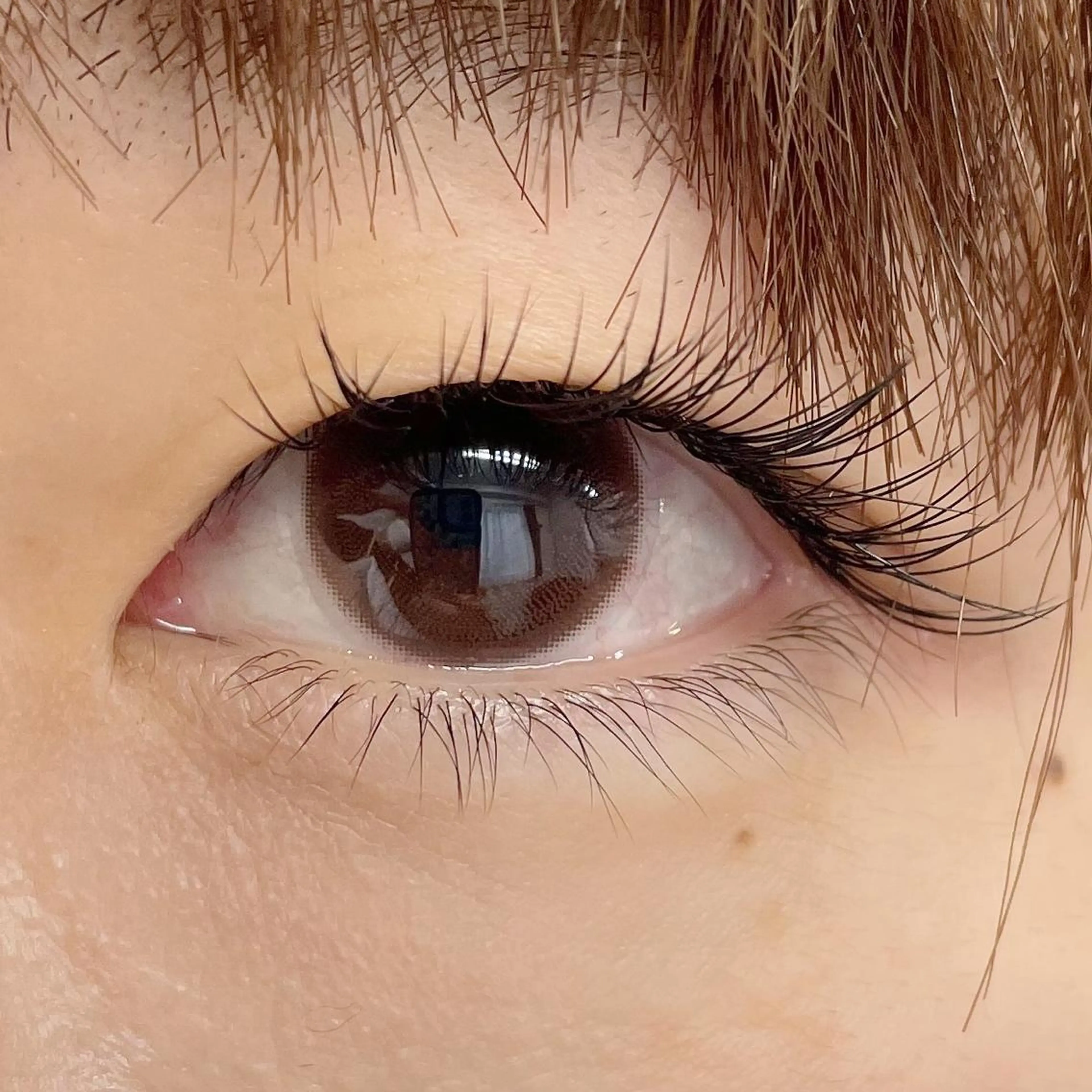 マツエク・マツパ Cカール ナチュラル セーブル yuzuka ❤︎のマツエク・マツパデザイン