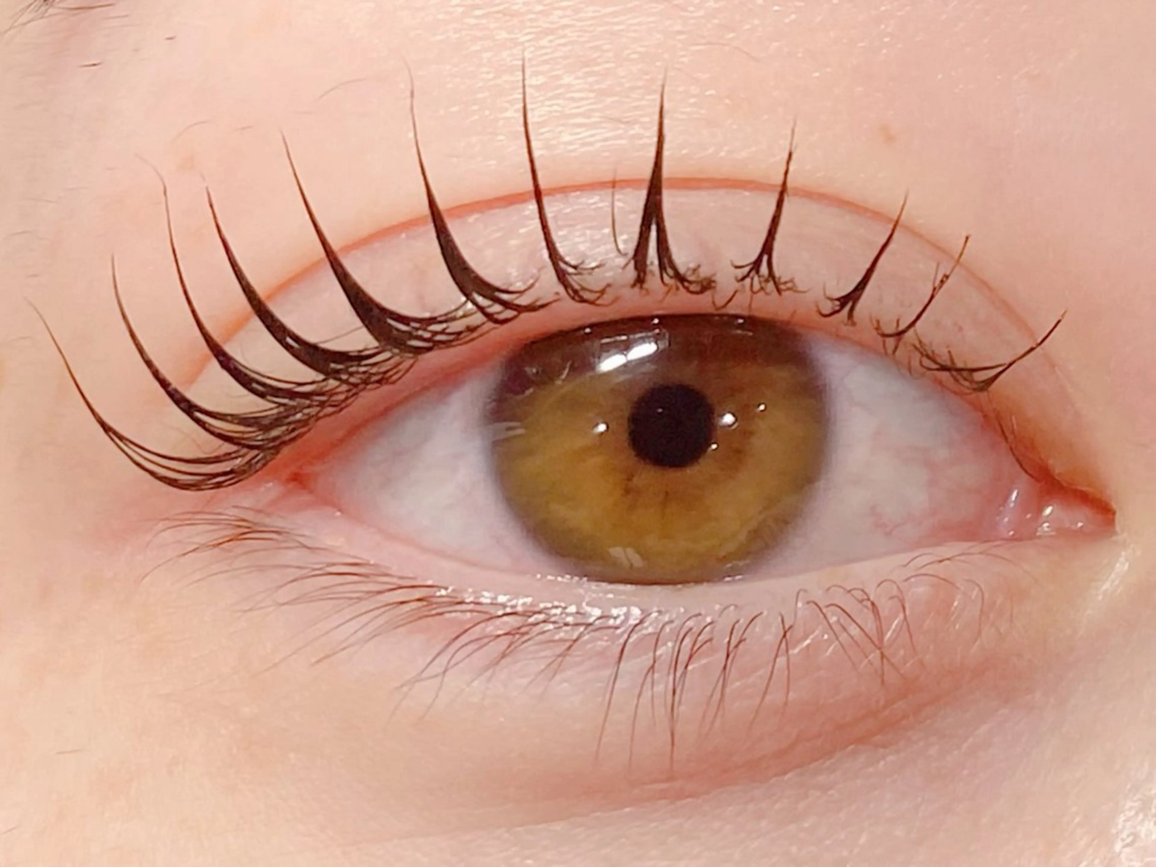 SNSで話題💛マスカラパーマ【ブラックティント仕上げコーティング付き✨】の写真