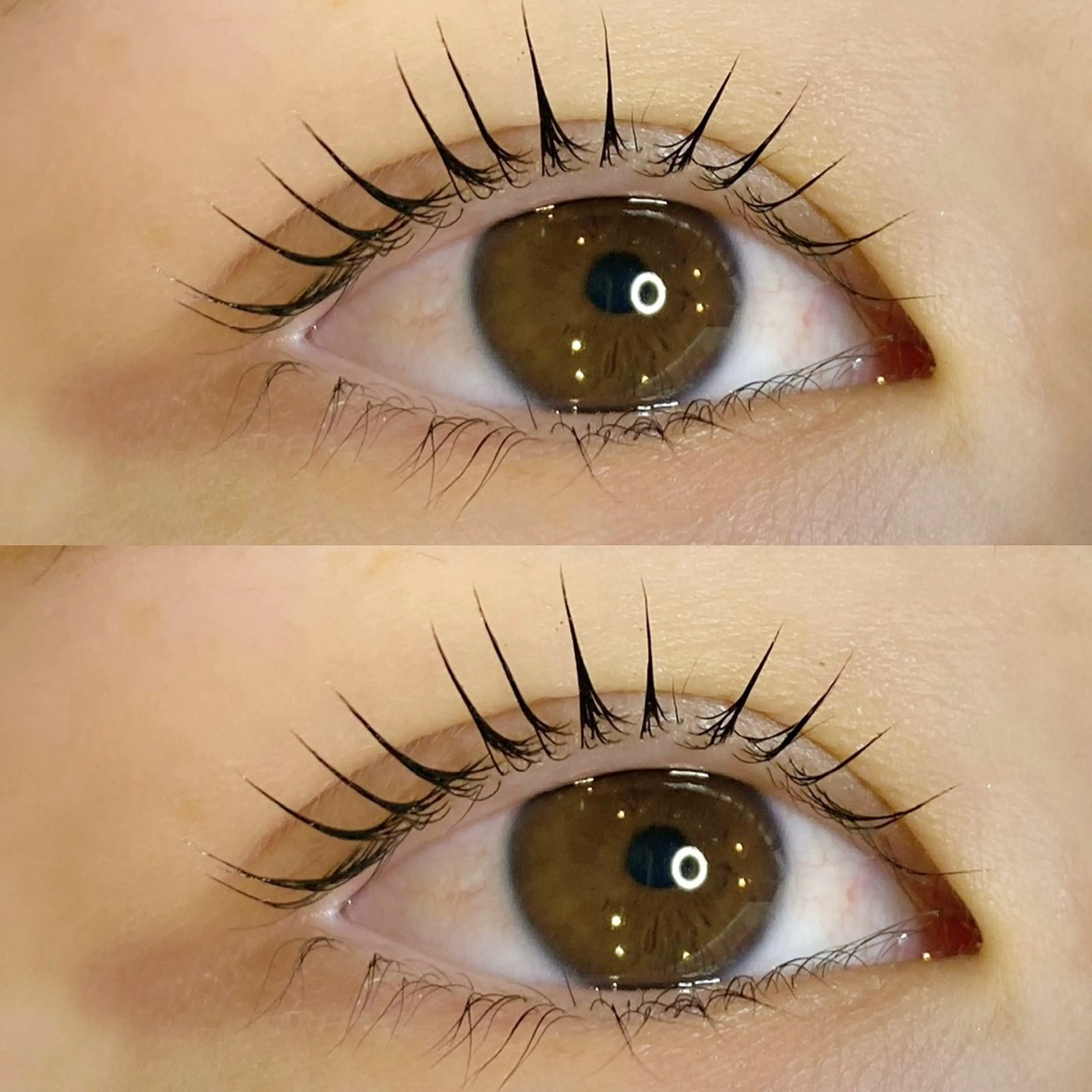 【ご新規様】パリジェンヌラッシュリフト➕コーティング🪞の写真